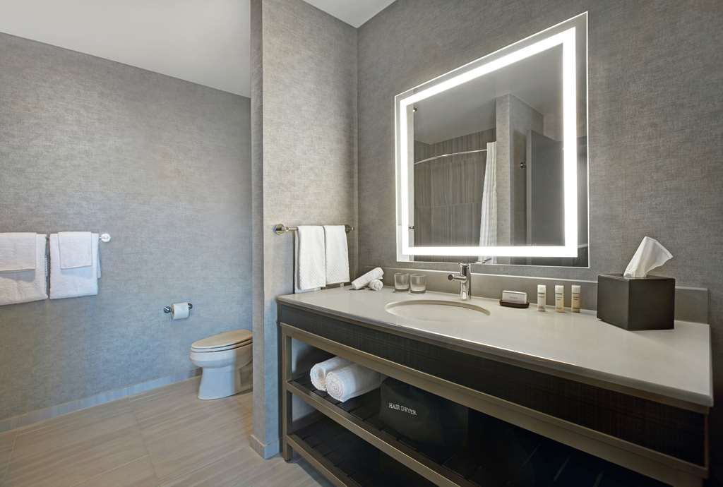 Фото Embassy Suites by Hilton Rockford Riverfront