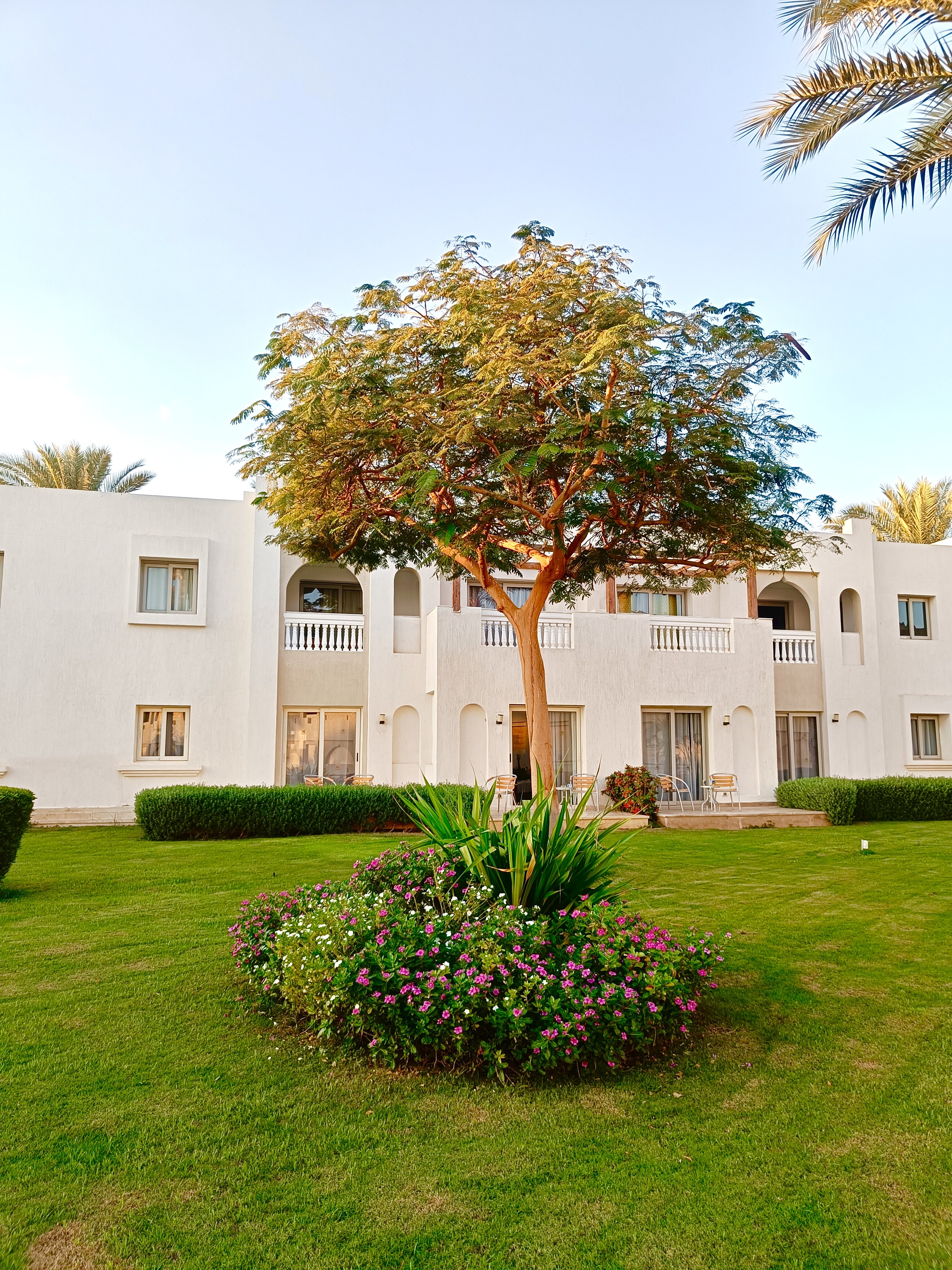 Фото Sunrise Diamond Beach Resort