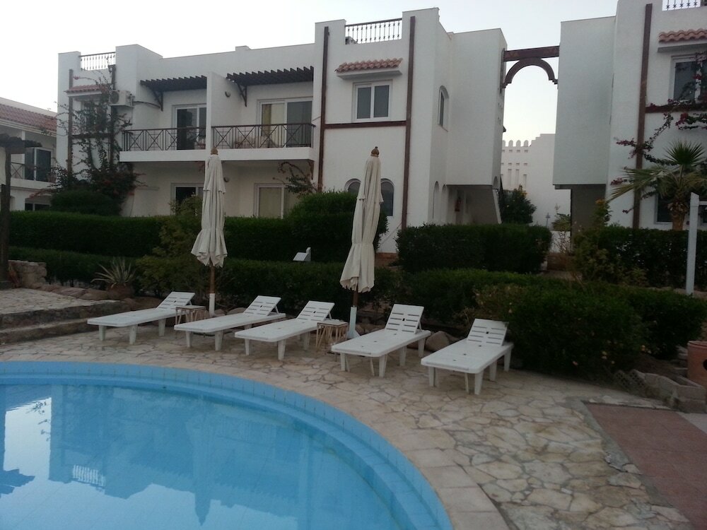 Фото Logaina Sharm