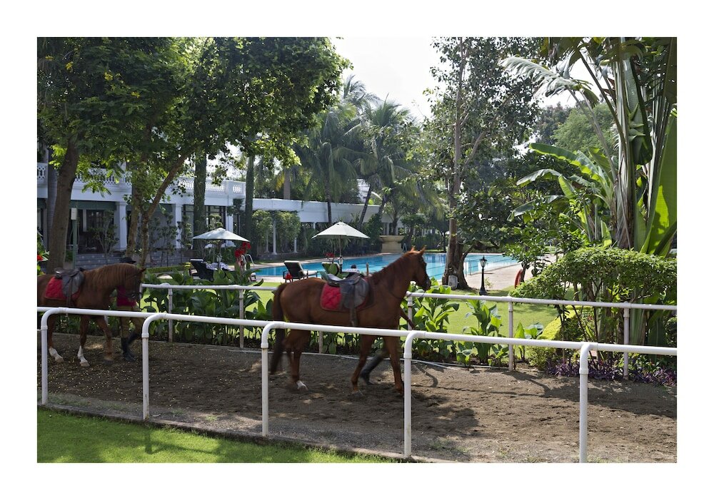 Фото Jehan Numa Palace Hotel