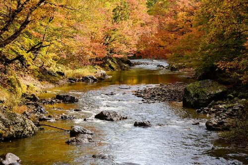 Гостиница Yuze в Префектуре Акита