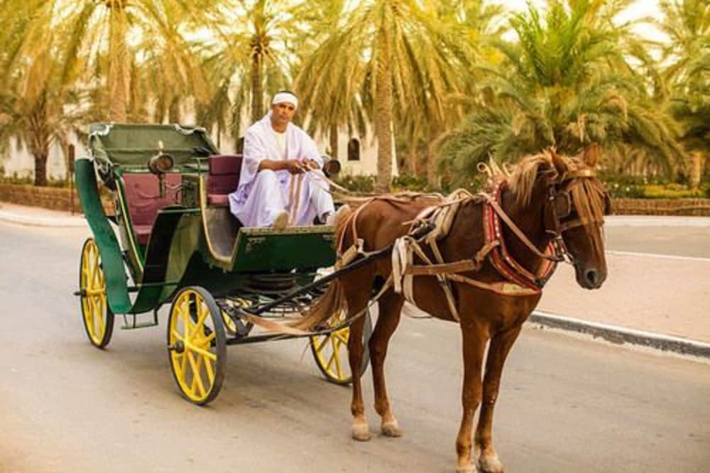 Фото La Gazelle d'Or Resort & SPA