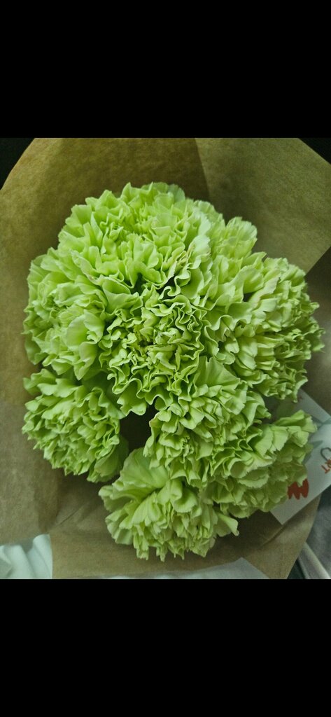 Татьяна Идамжапова