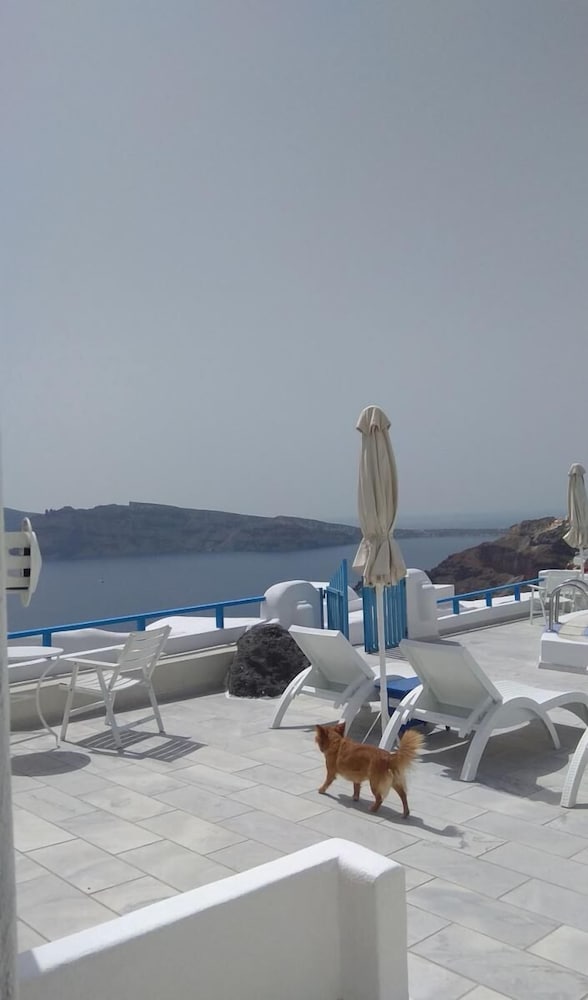 Фото Olympic Villas