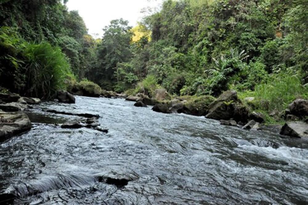 Фото Ubud Dedari Villas