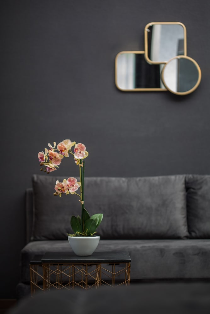 Фото Egnatia Palace Hotel & SPA