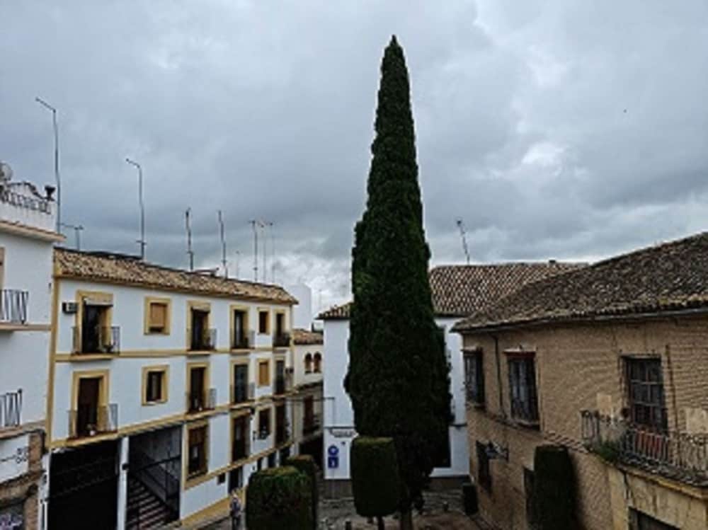 Фото Hotel Plateros