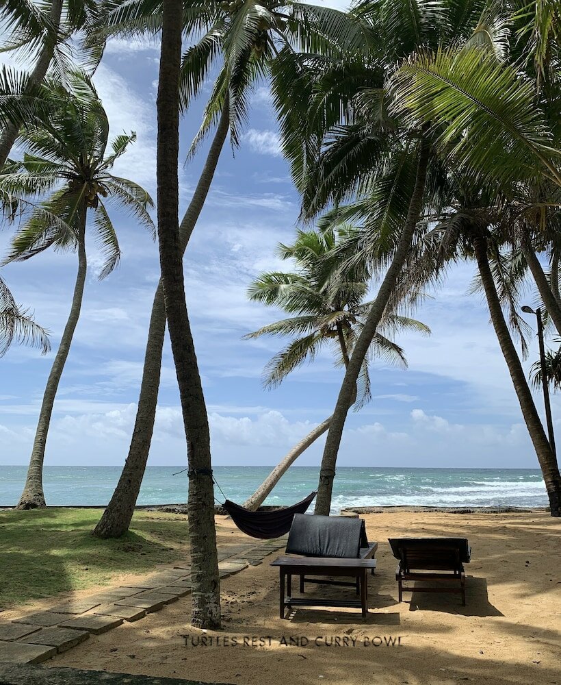 Фото Curry Bowl Restaurant & Turtles Rest