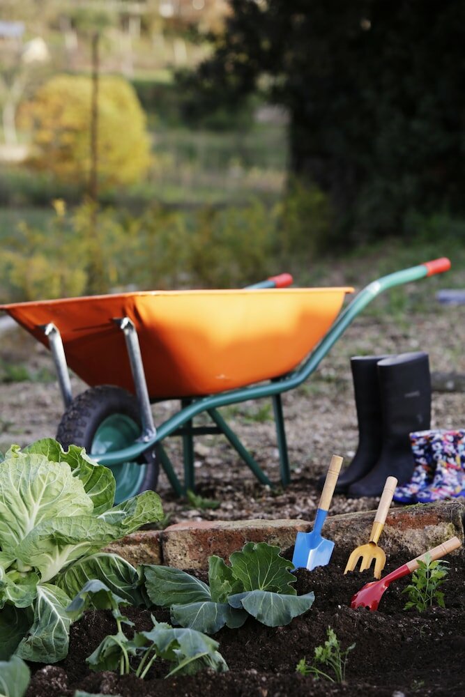 Фото Solar Egas Moniz Charming House & Local Experiences