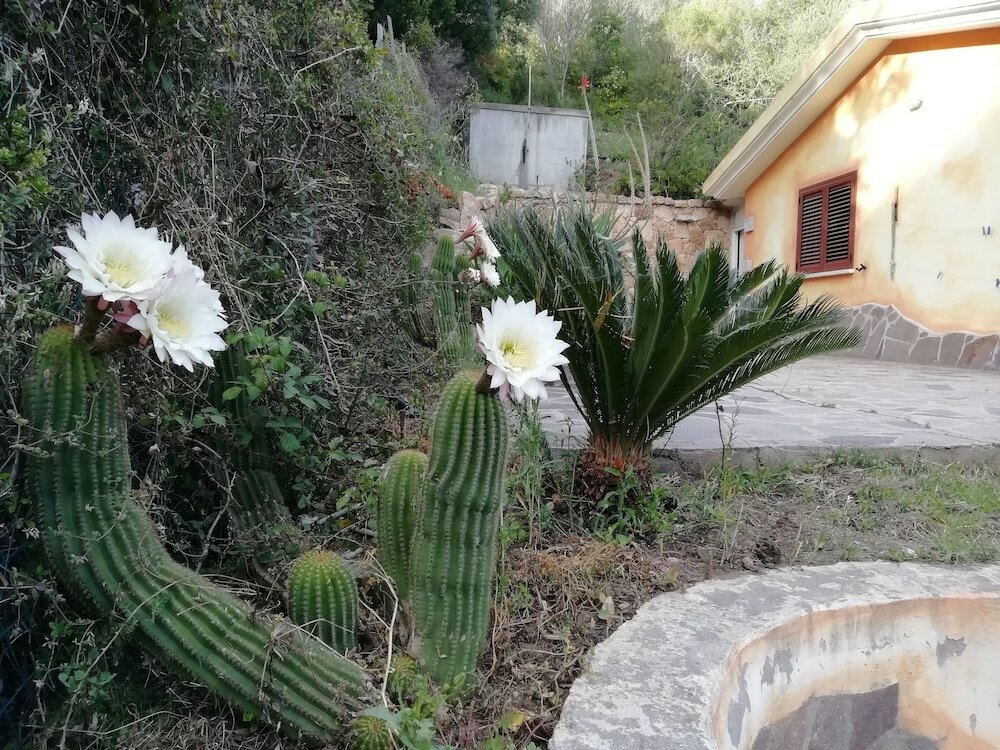 Фото In Campagna da Nino