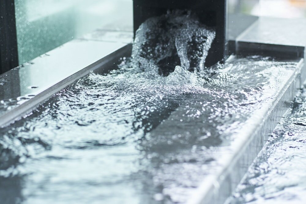 Фото Fujisan Mishima Tokyu Hotel