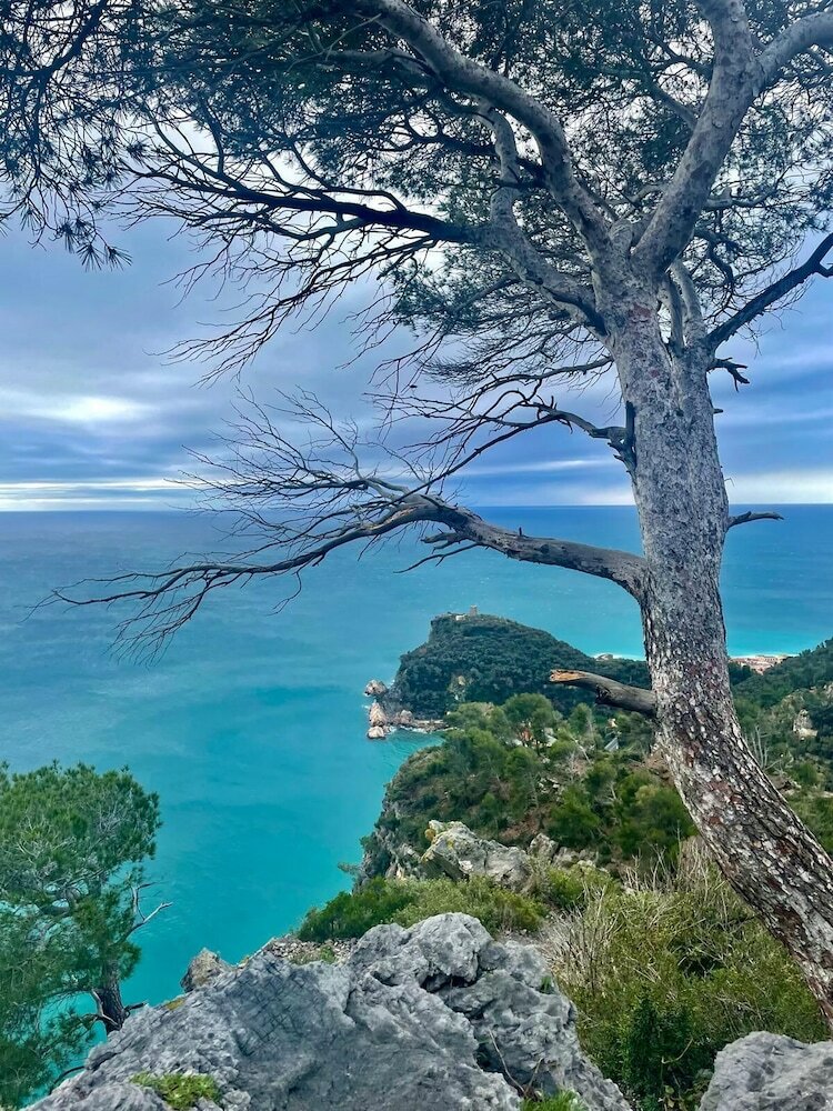 Фото Hotel Florenz