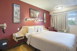 Гостиница Rodeway Inn Tampa near Busch Gardens - Usf