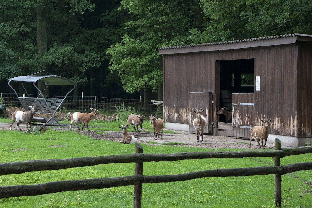 Фото Vila Vita Burghotel Dinklage