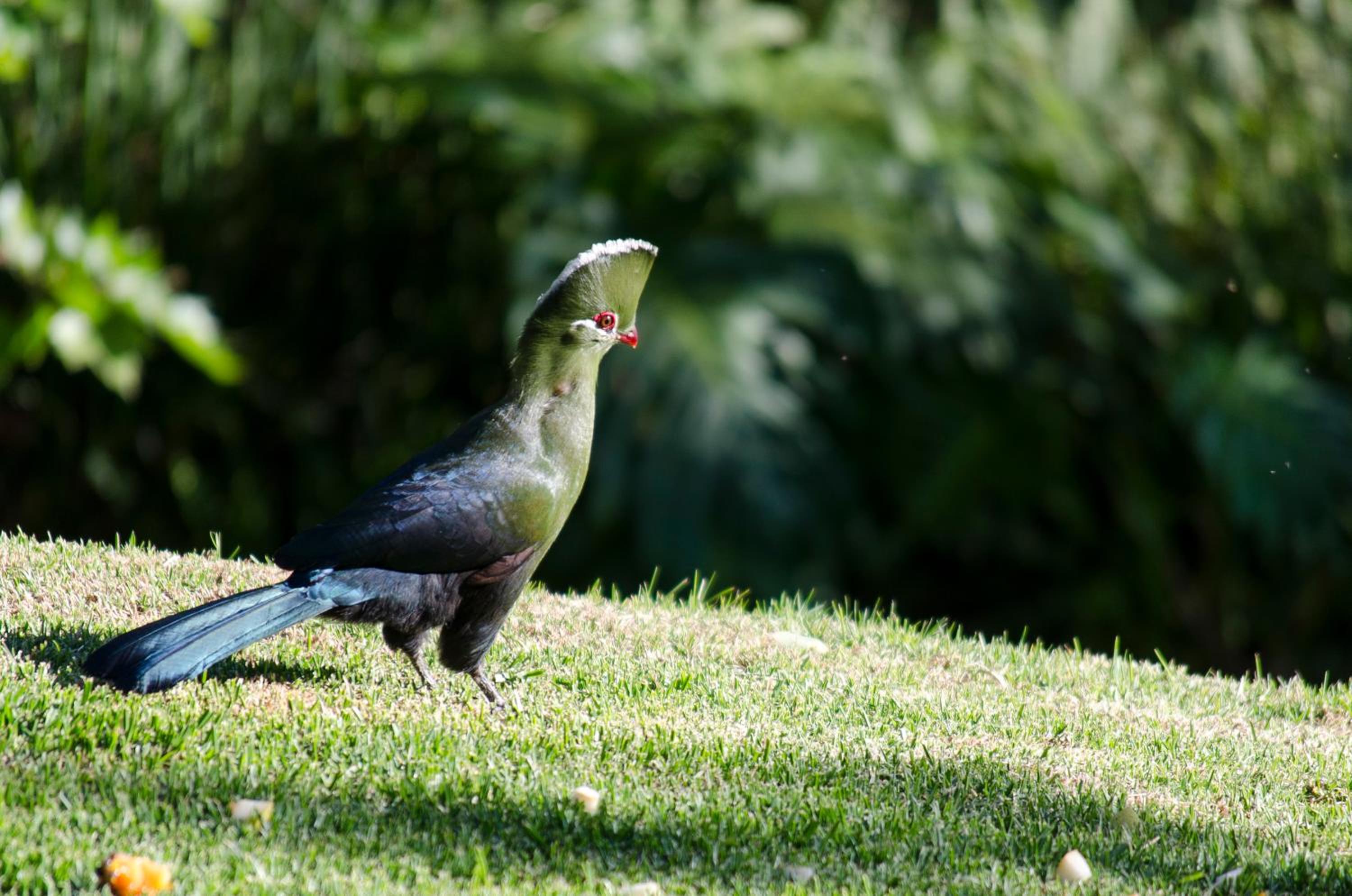 Фото Hildesheim Guest House