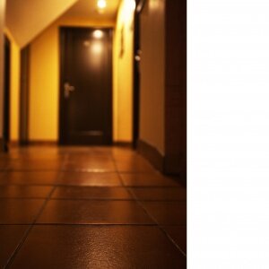 Фото Домино