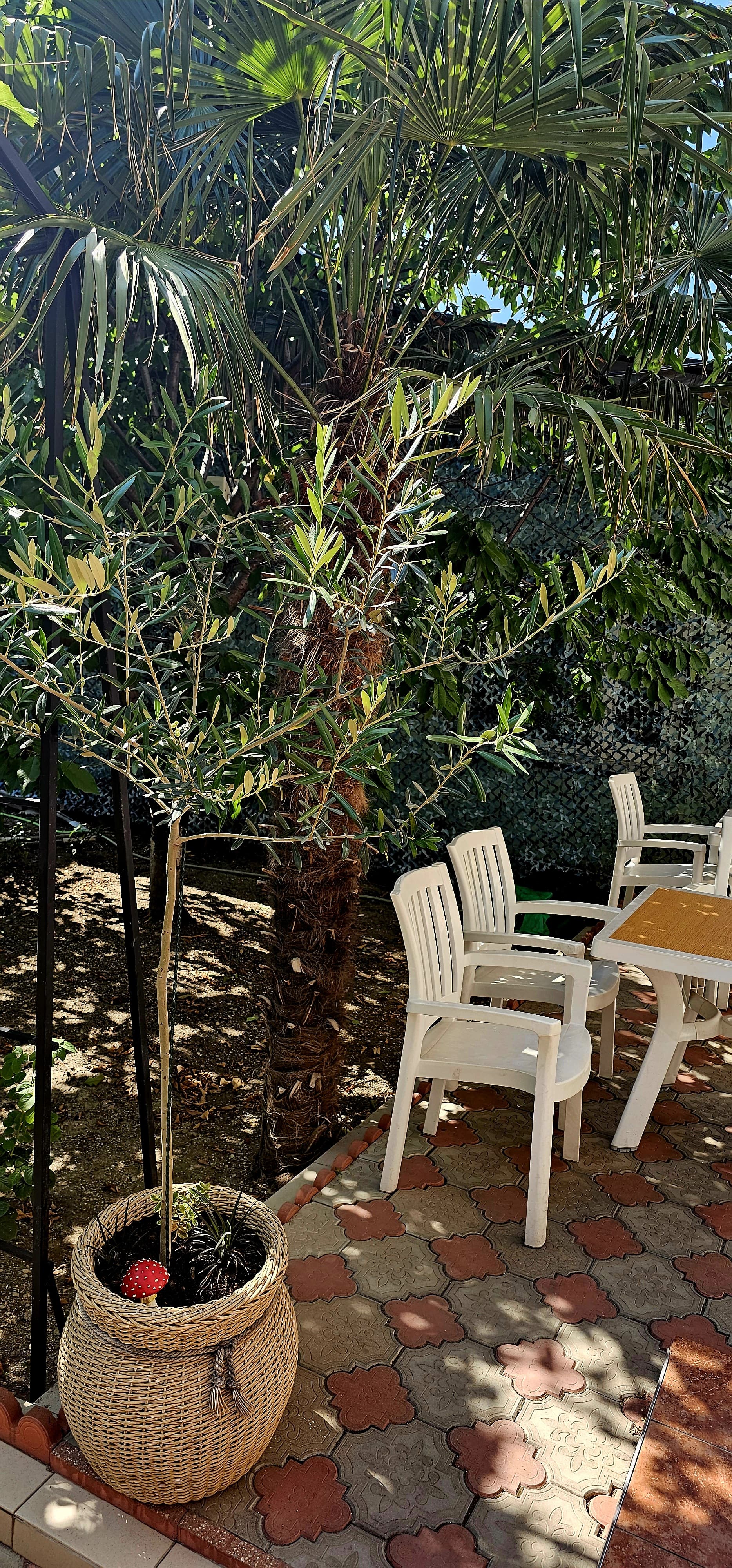 Фото Центральный