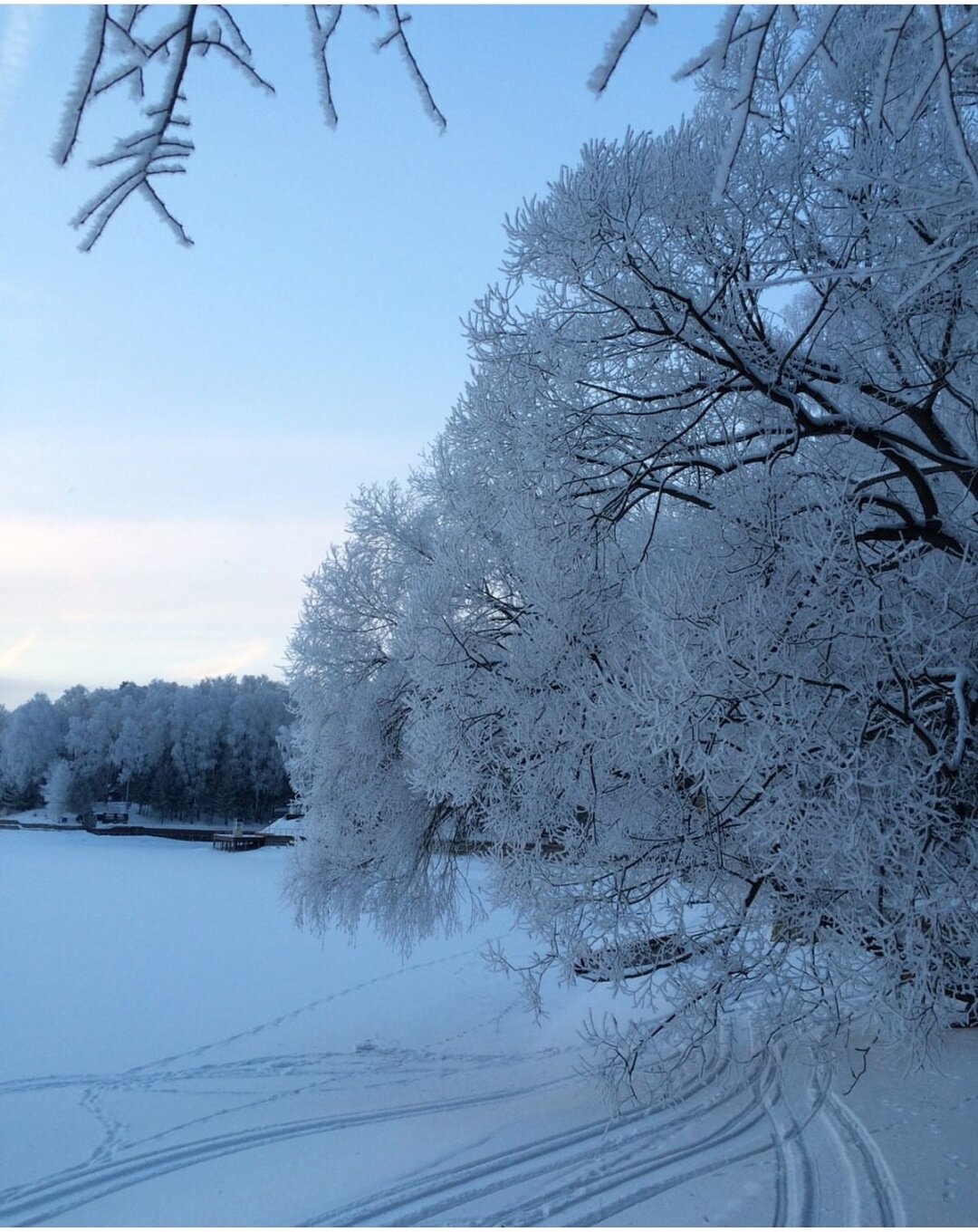 Фото Истра Холидей