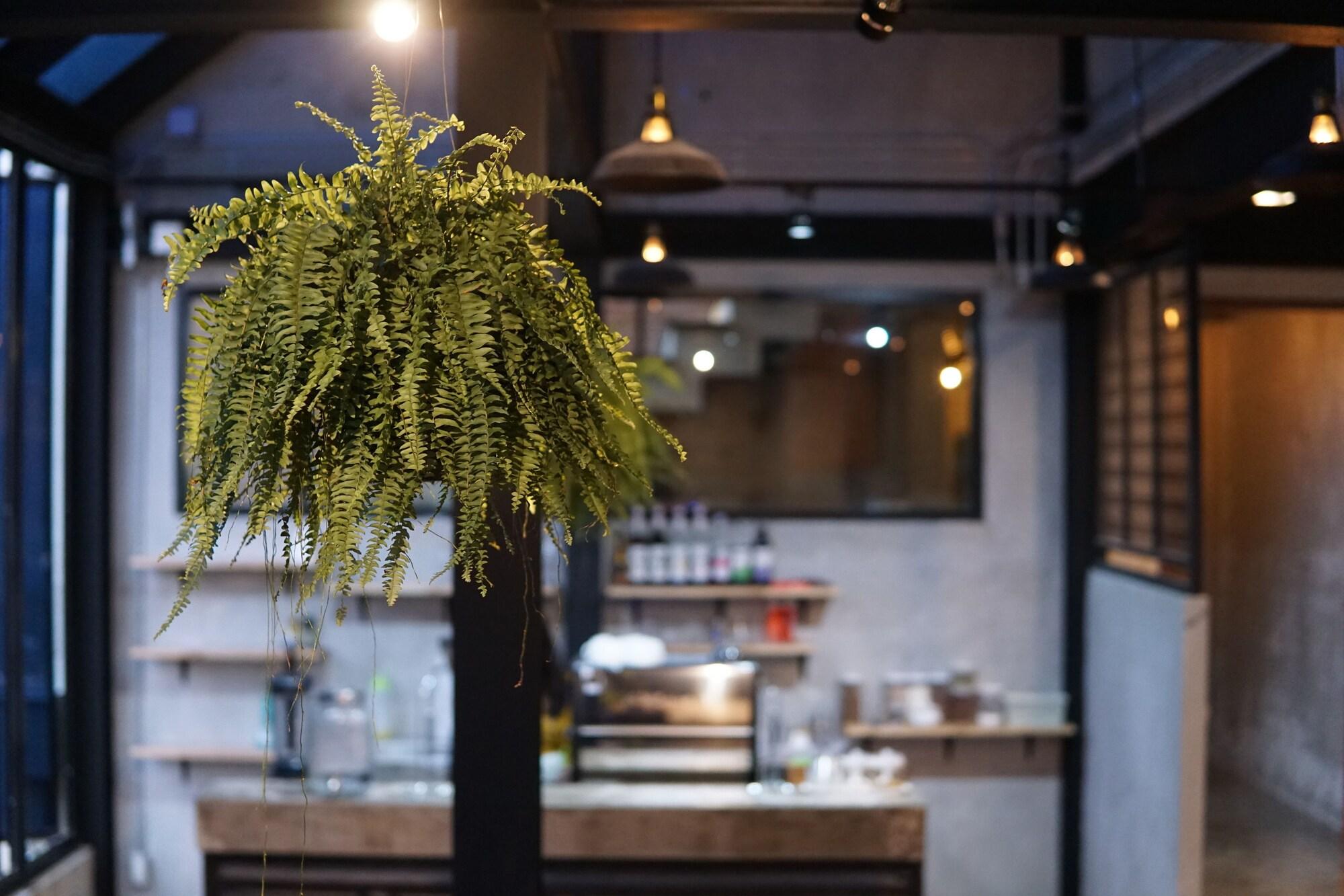 Фото Chartame Boutique Hotel