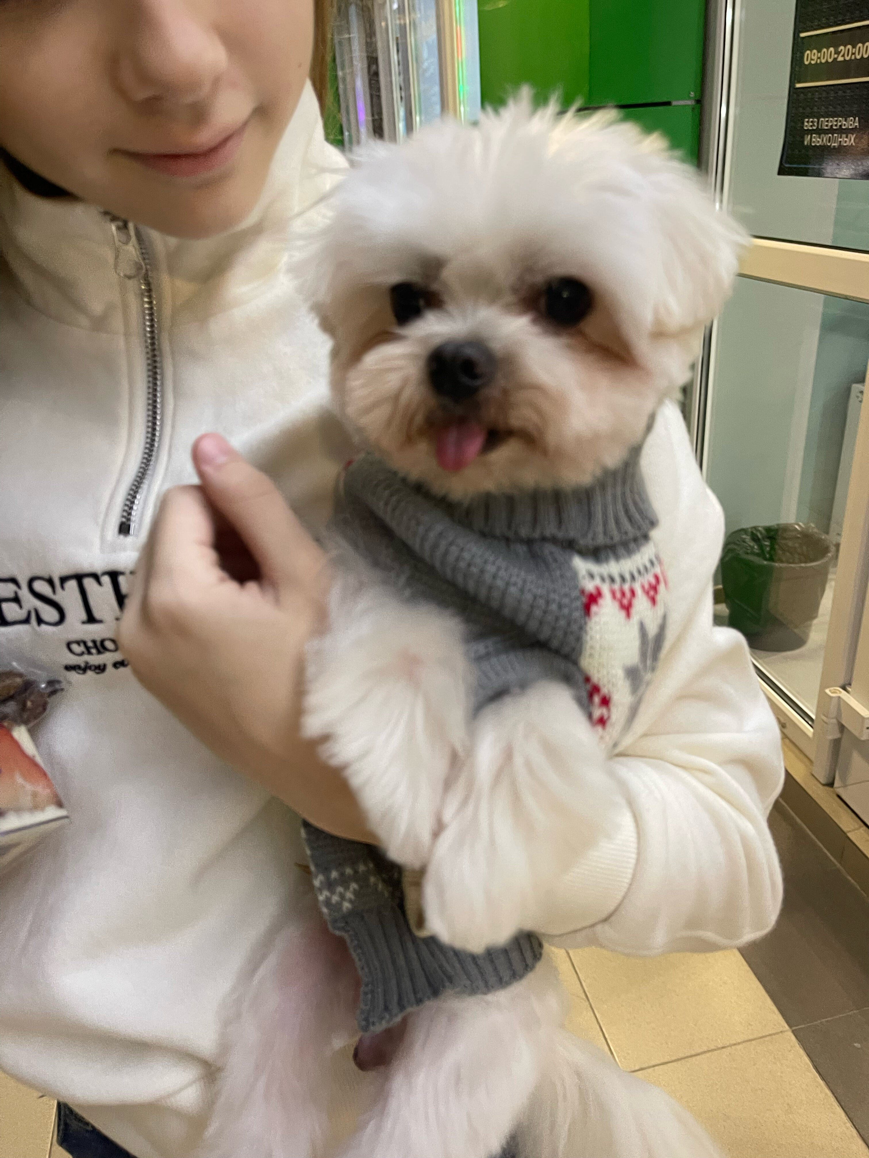 Фото Анвин Фишт