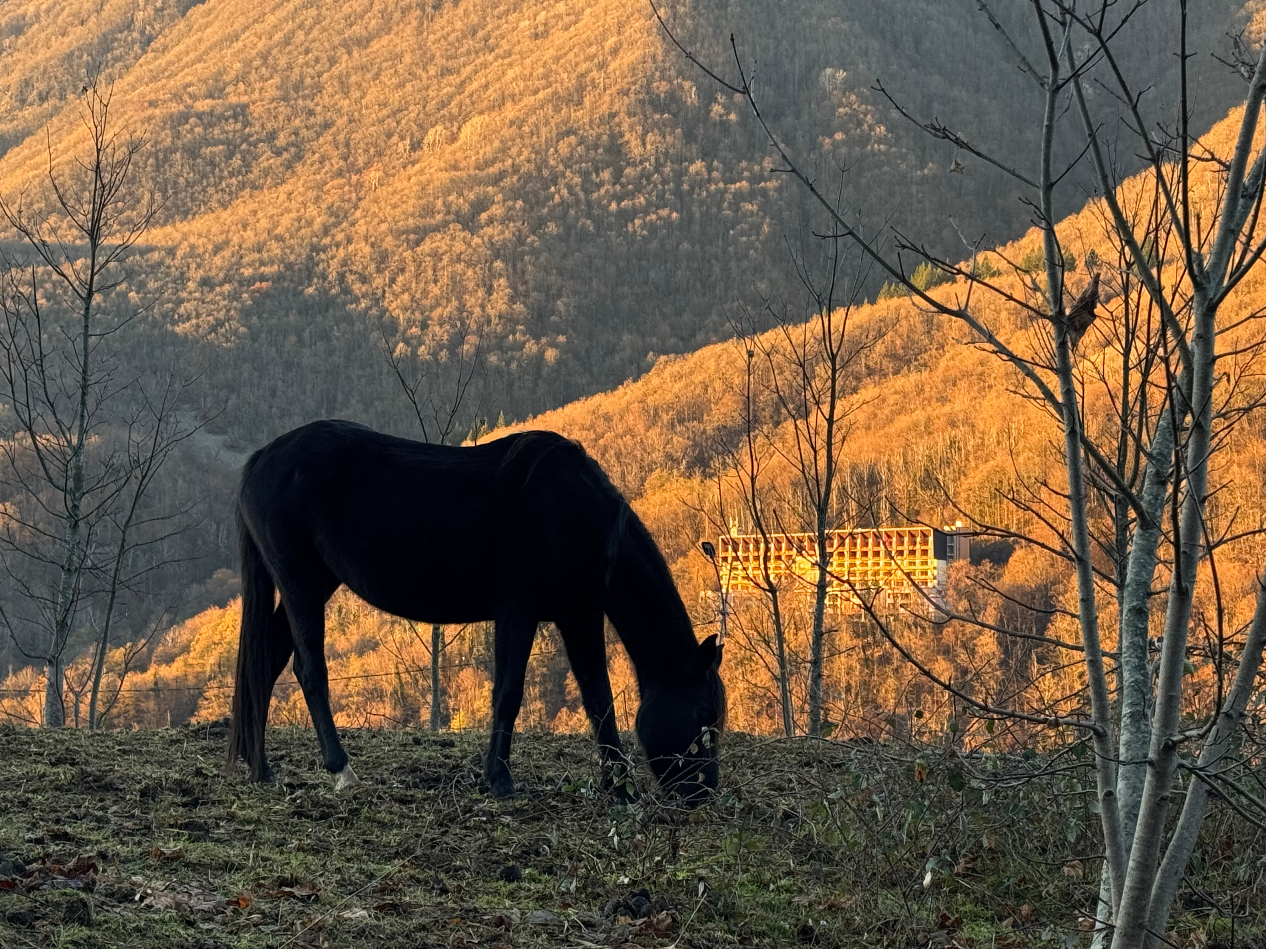 Фото Панорама парк