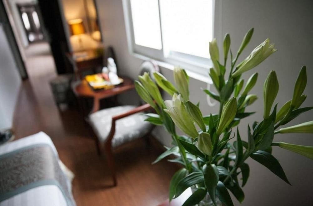 Фото Dragon Pearl Hotel