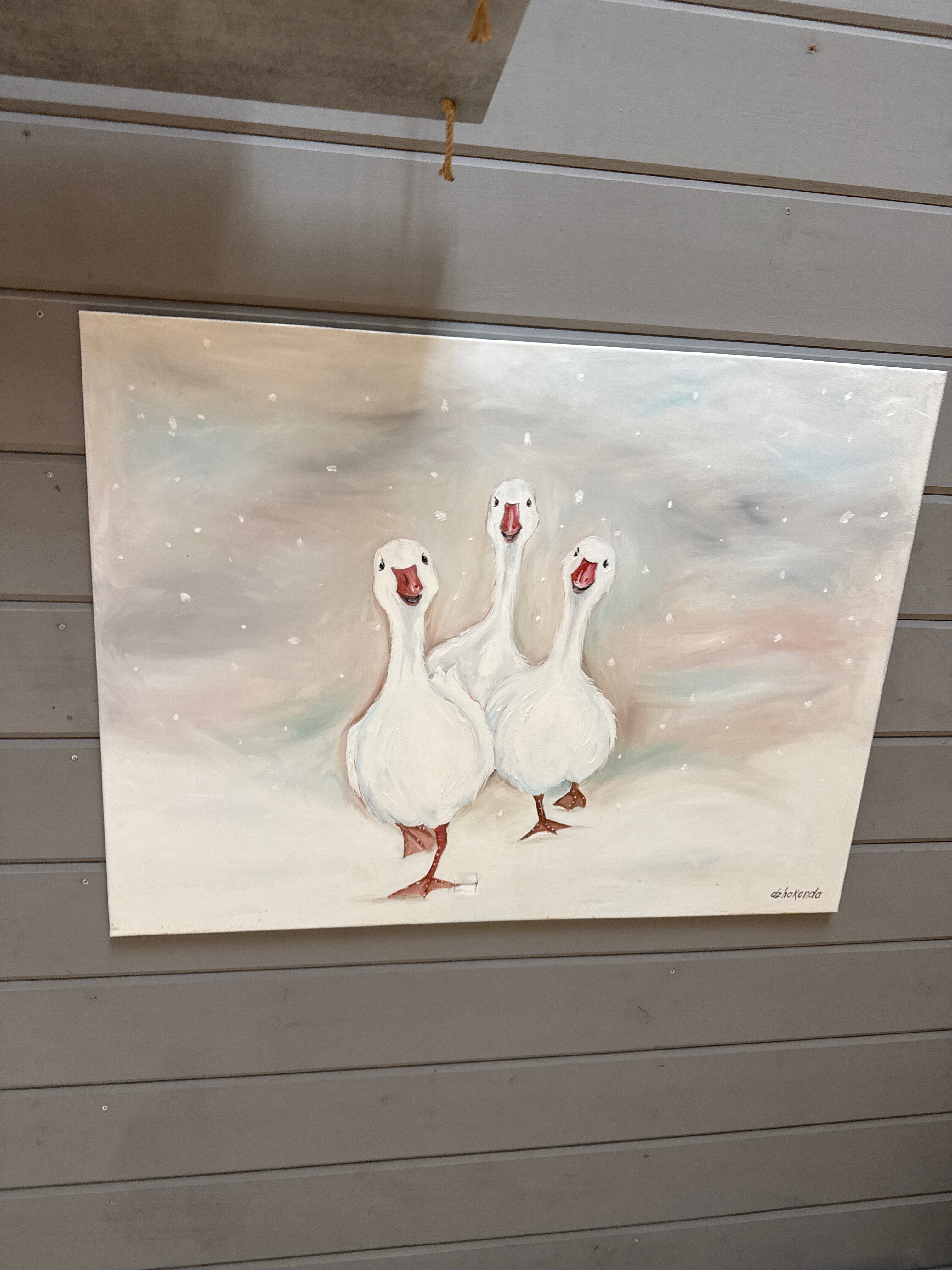 Фото Пар и сосны