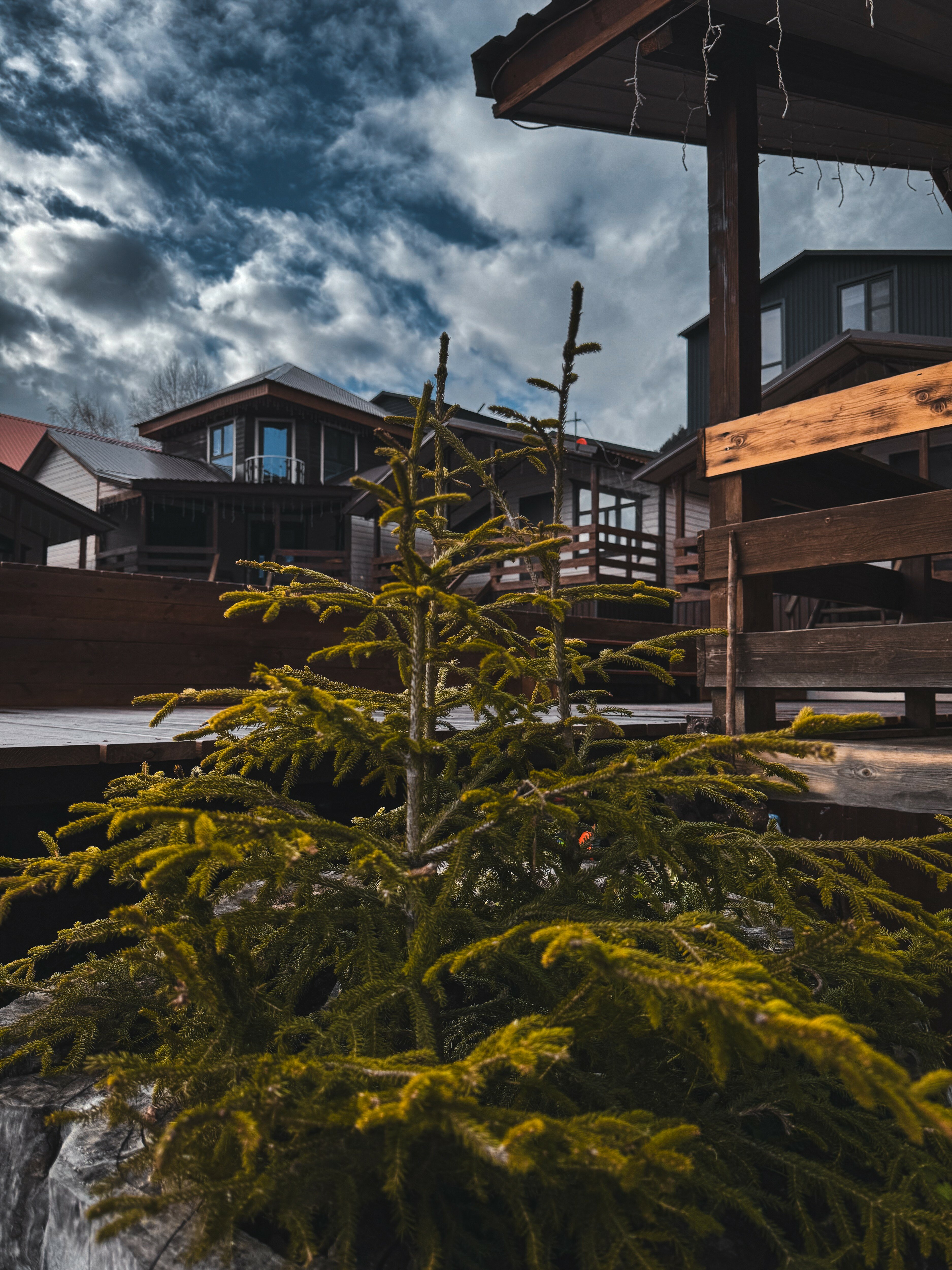 Фото Таурус Архыз