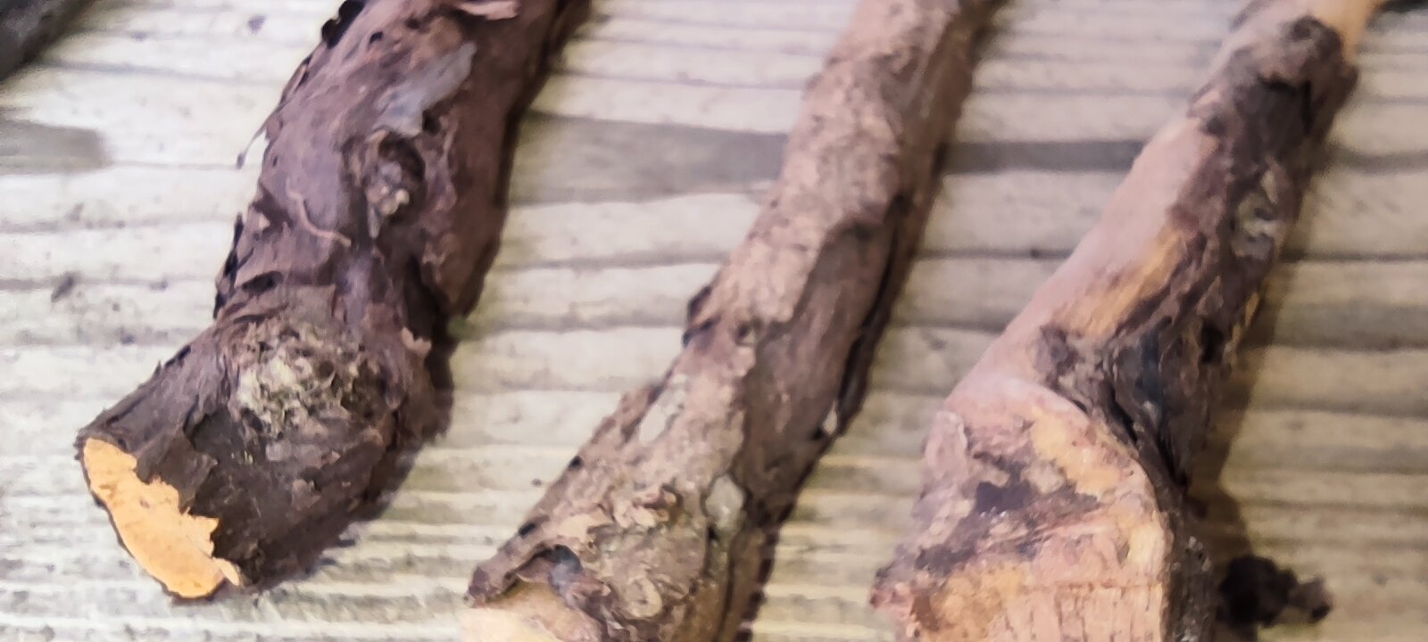 Фото Woolway Studios