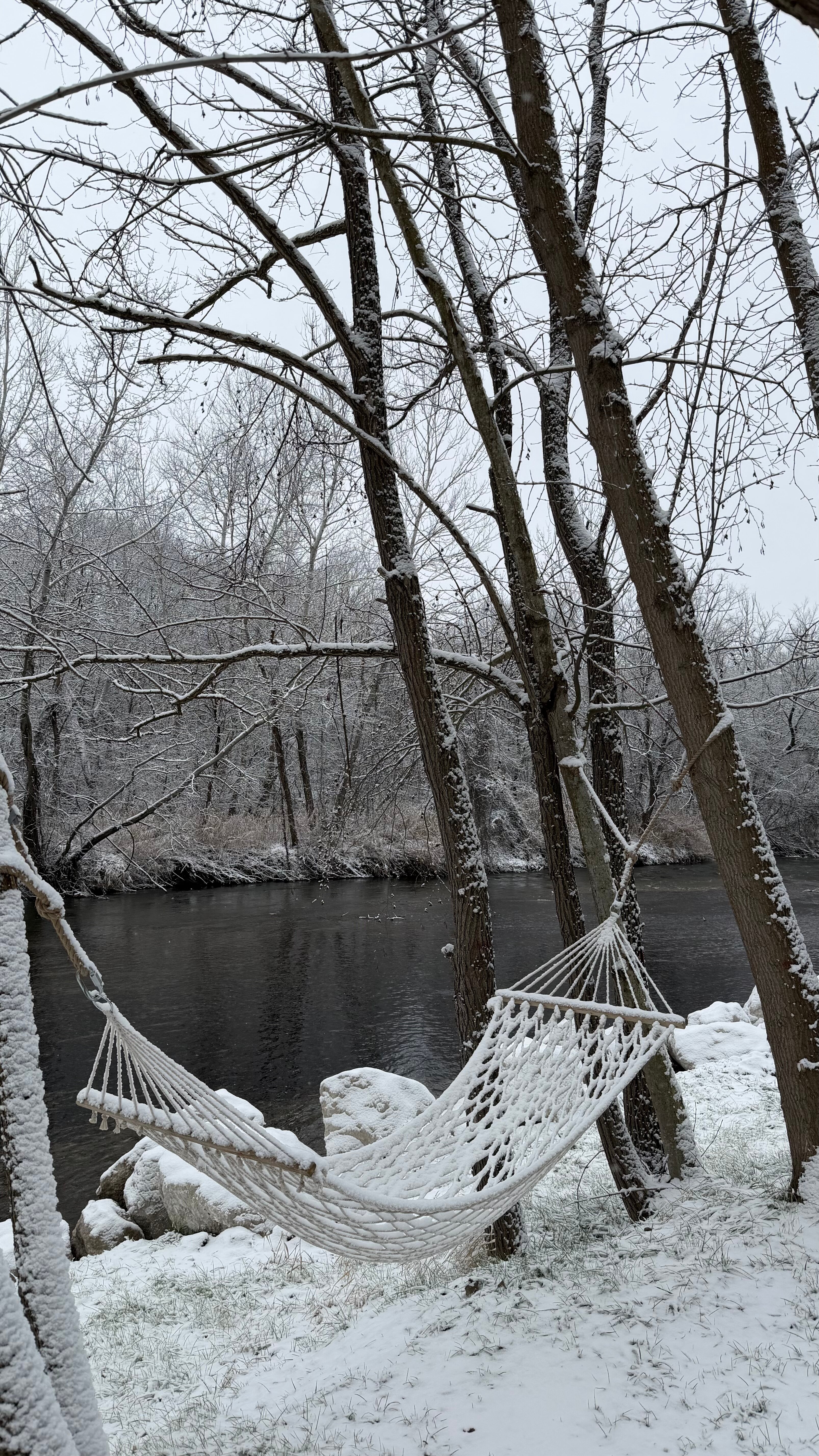 Фото Загородный клуб Лес