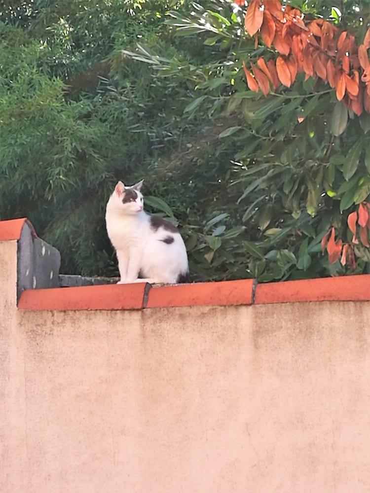 Фото Hotel Casa del Pellegrino