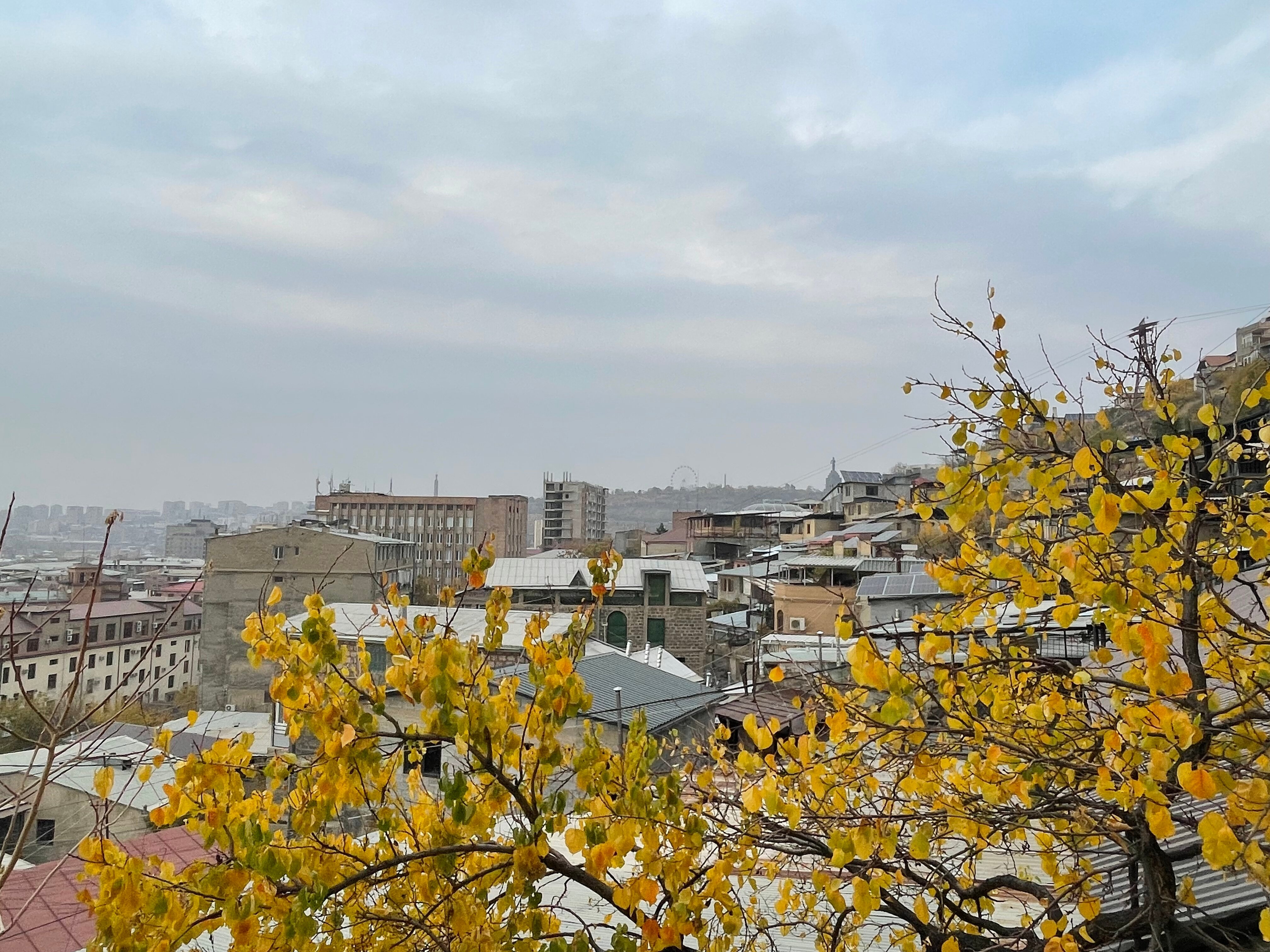 Фото Yoga Home Ретритный центр, гест-хаус и йога-студия в Ереване