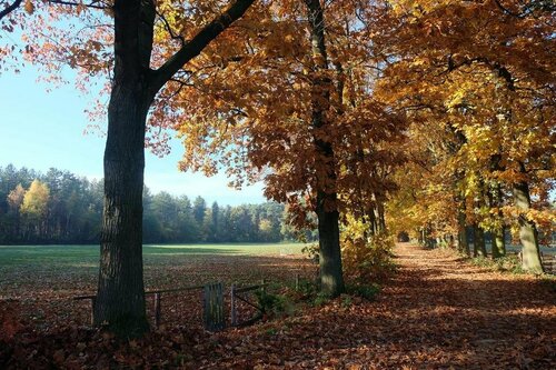 Гостиница 15 Inn в Провинции Антверпен