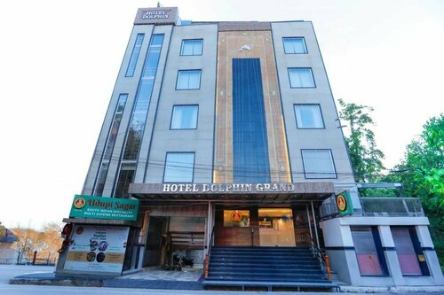 Dolphin Grand