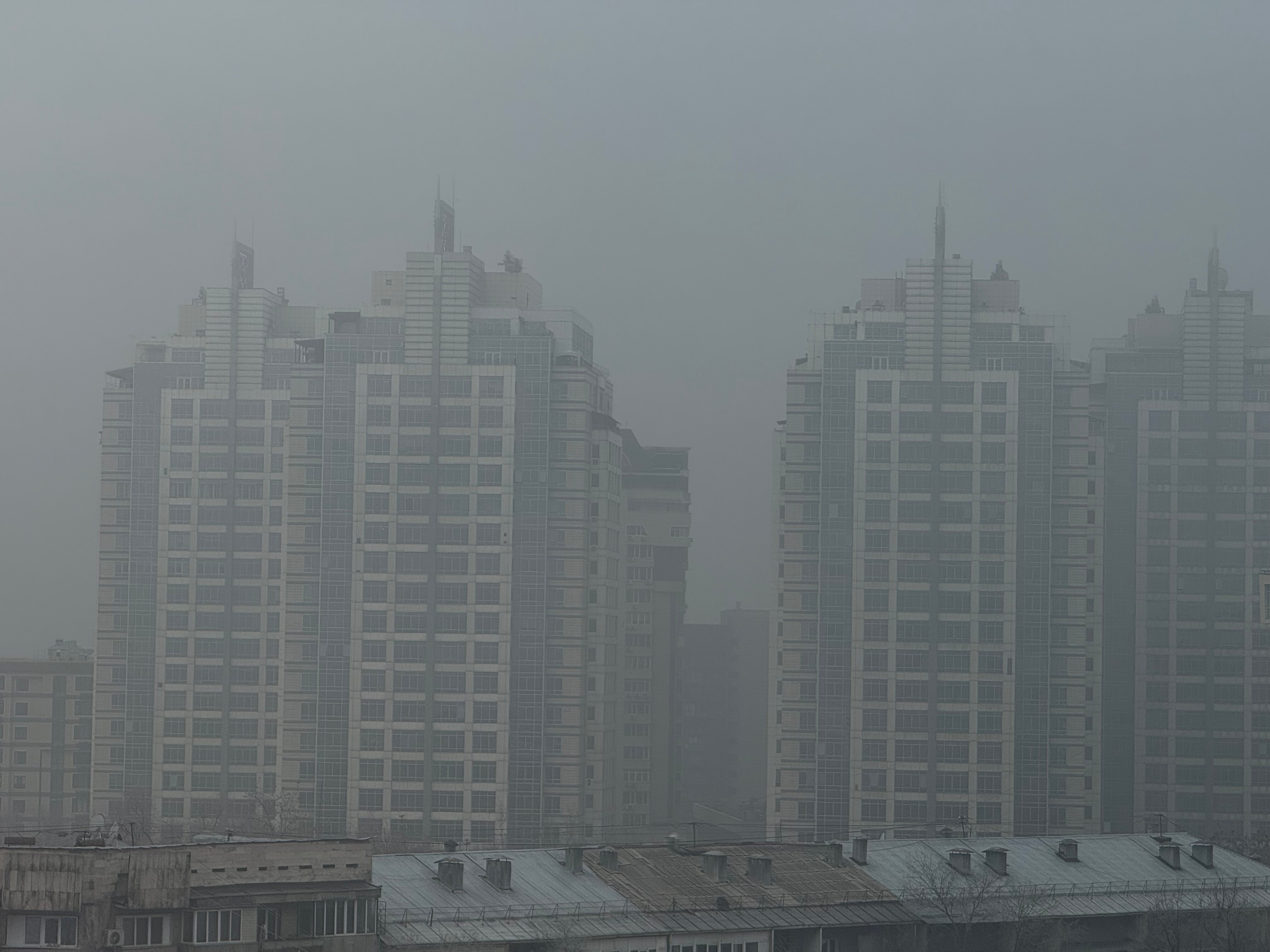 Фото Garden Park Inn