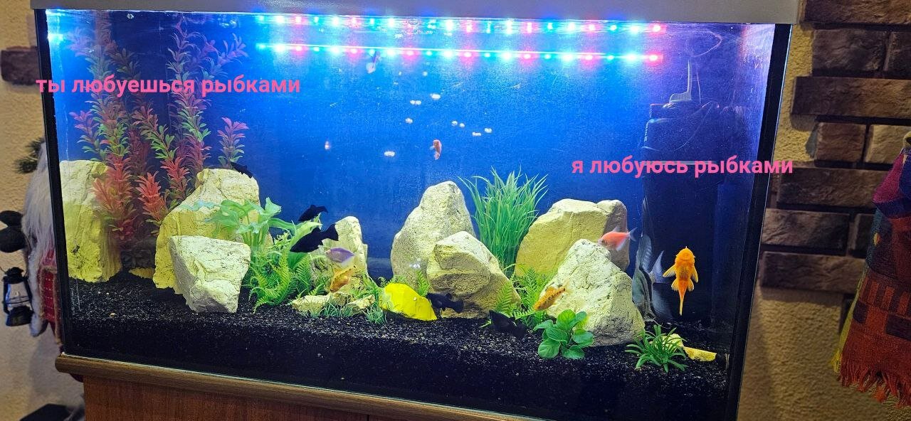 Фото Тихая гавань