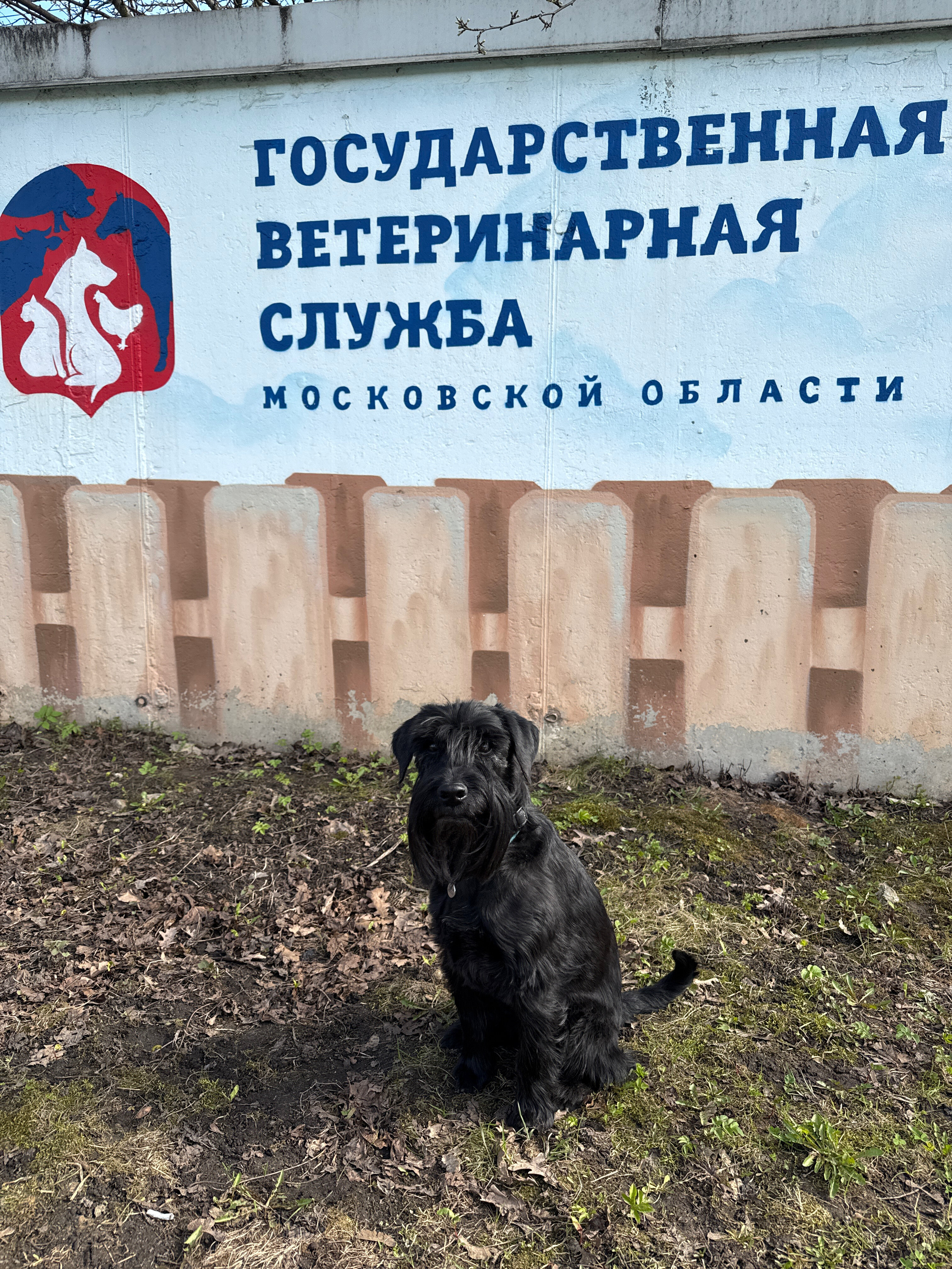 Терветуправление N 5, ветеринарная станция по ГО Балашиха и ГО Реутов - фото 19