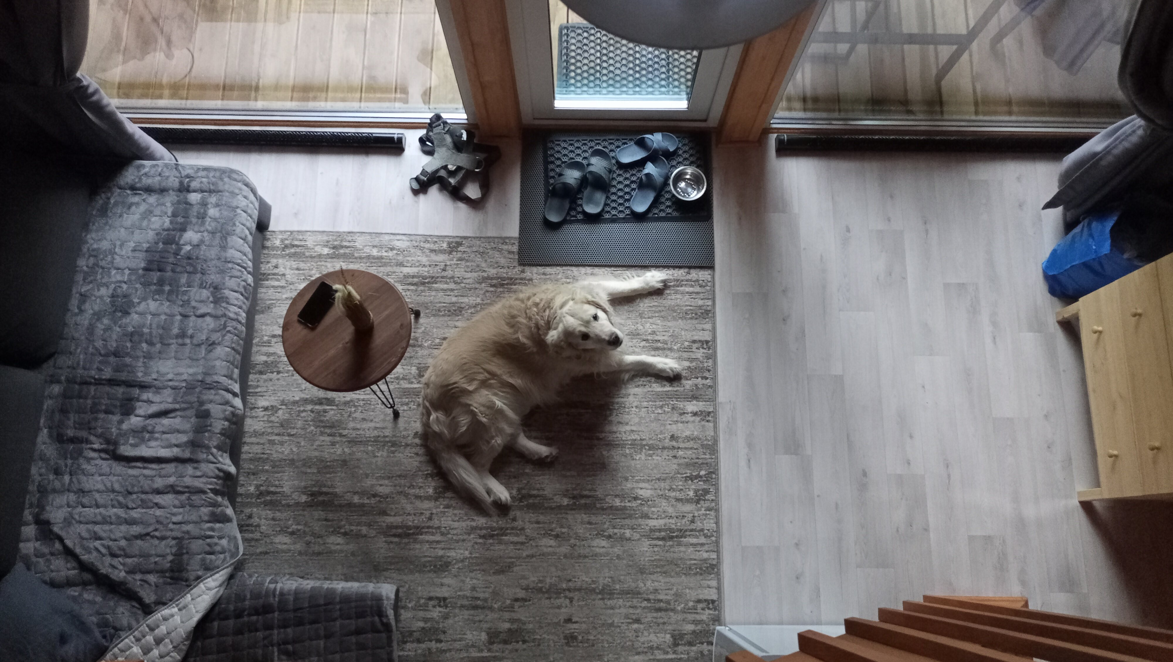 Фото Klever House Экофорест