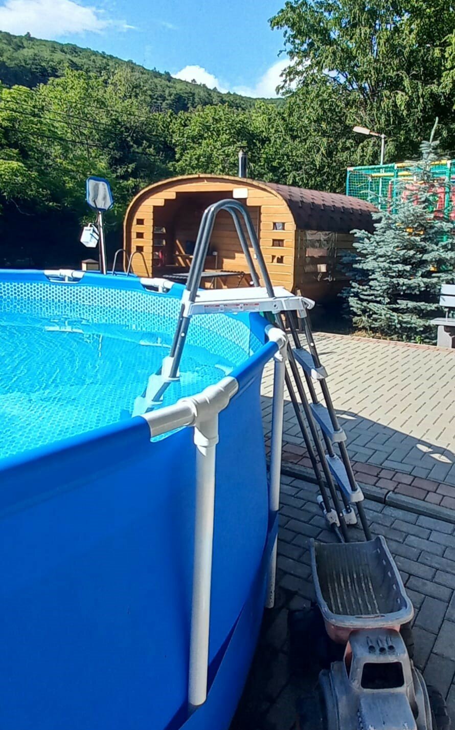 Фото Аммонит