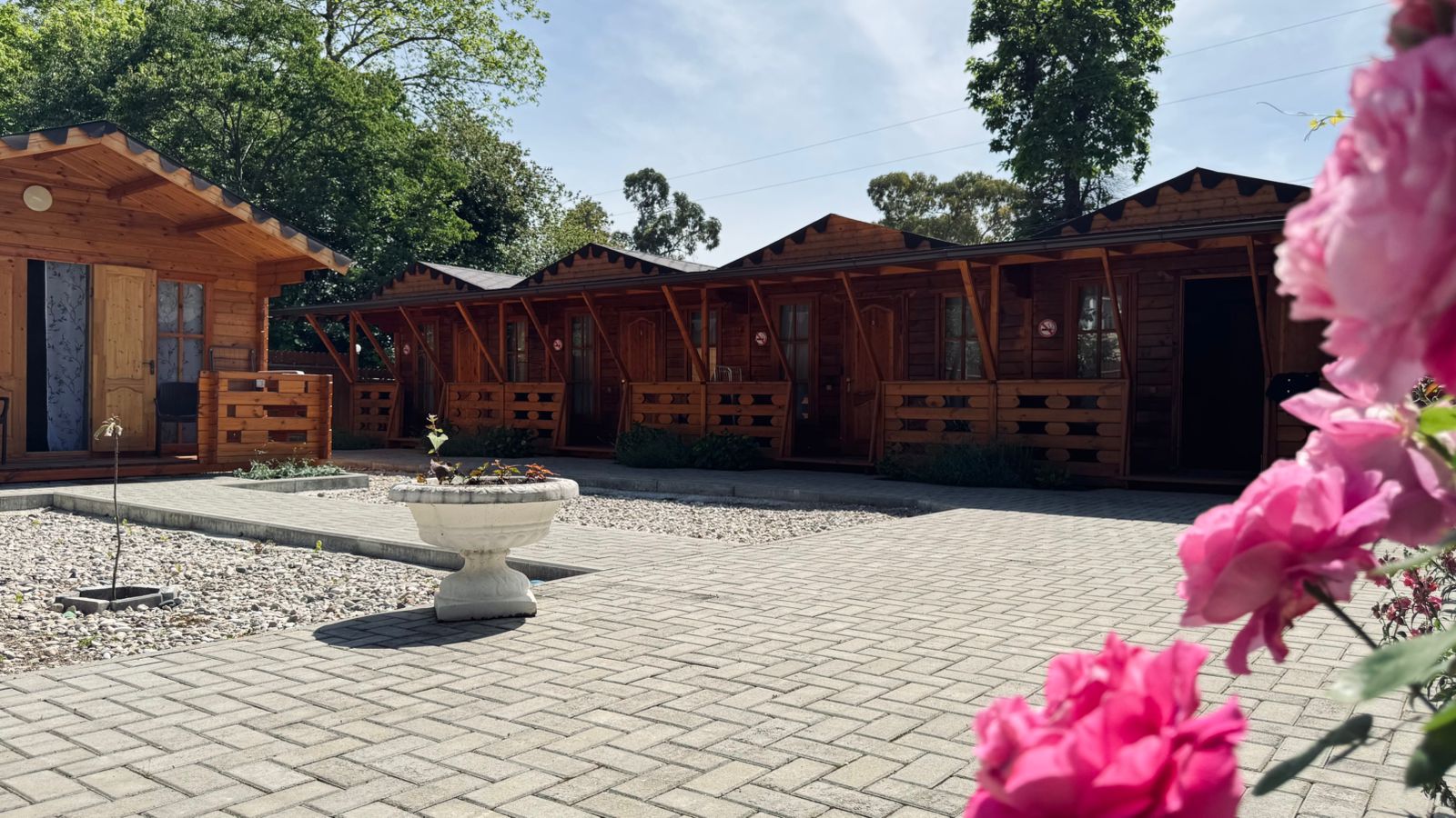 Фото Малина