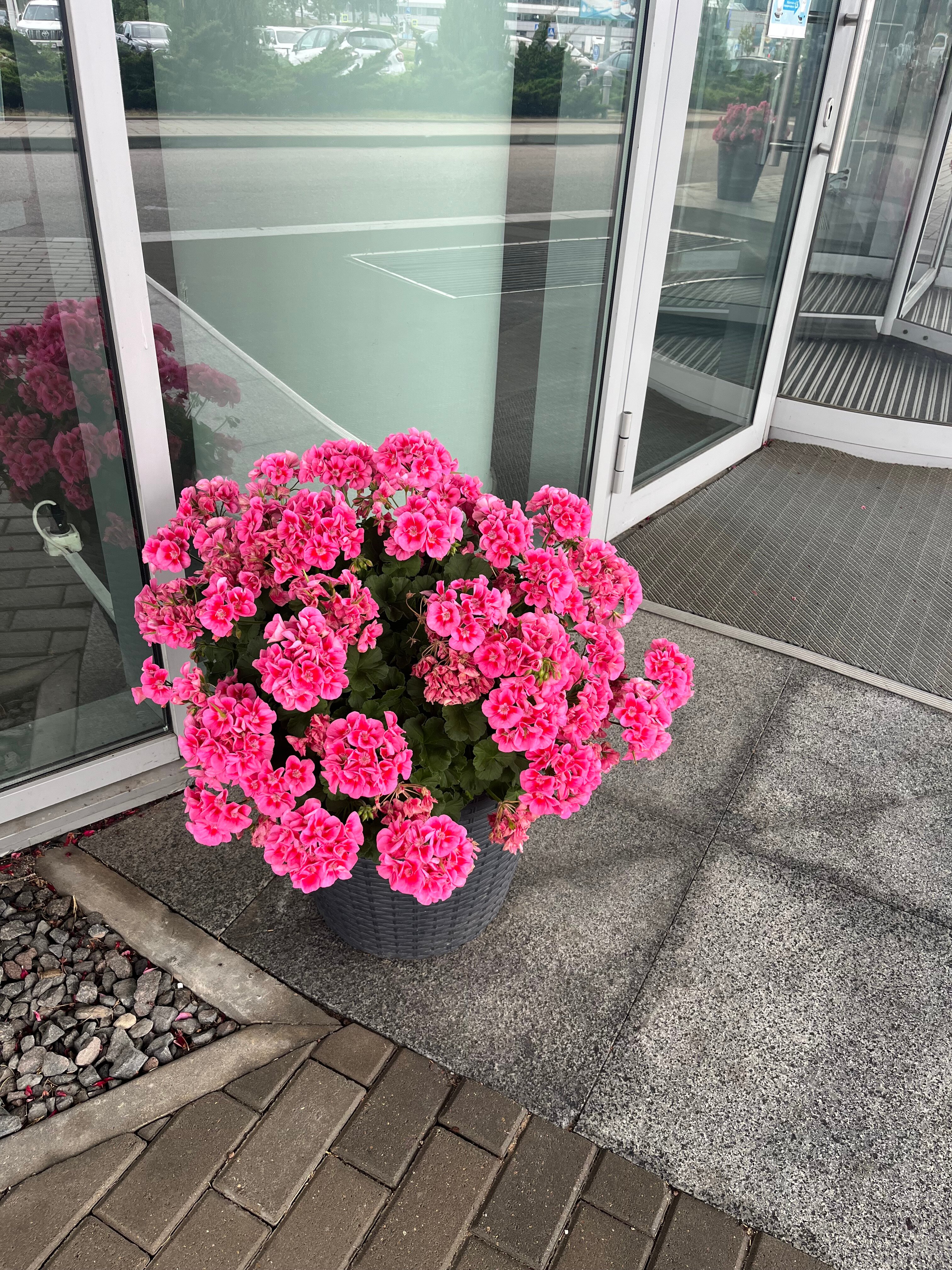 Фото Славянская