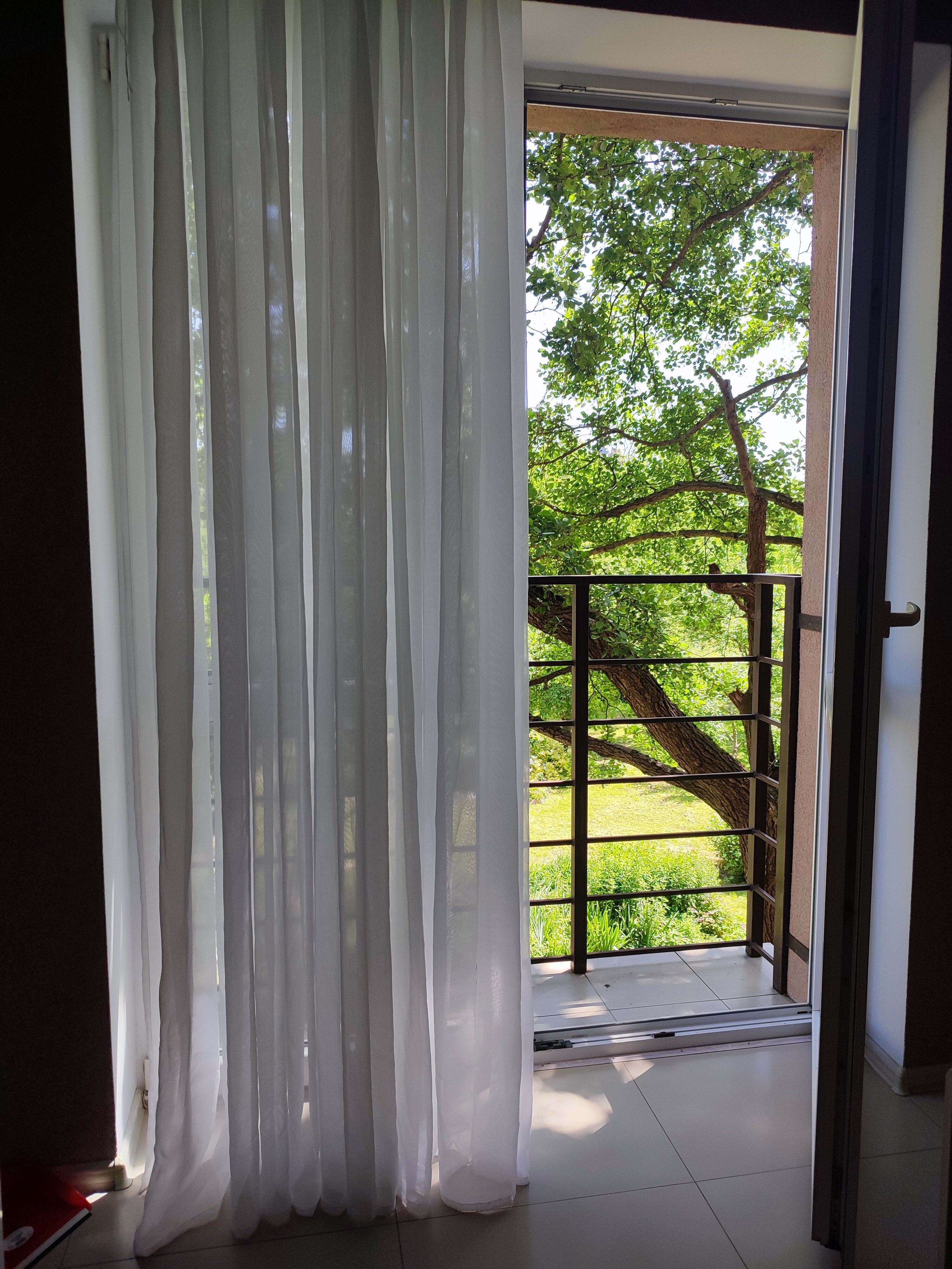 Фото Элиза Бонапарт