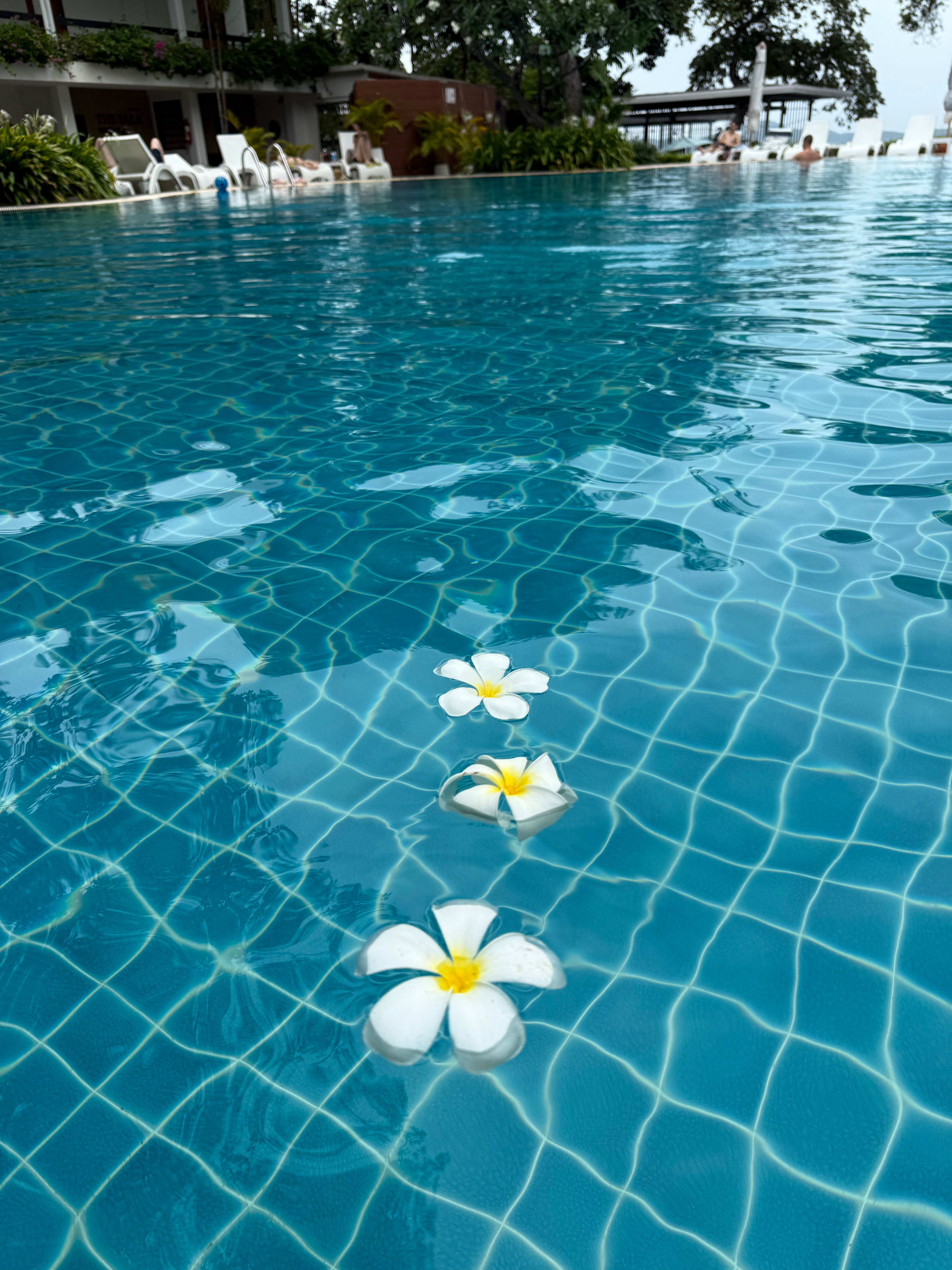 Фото Cosy Beach Hotel