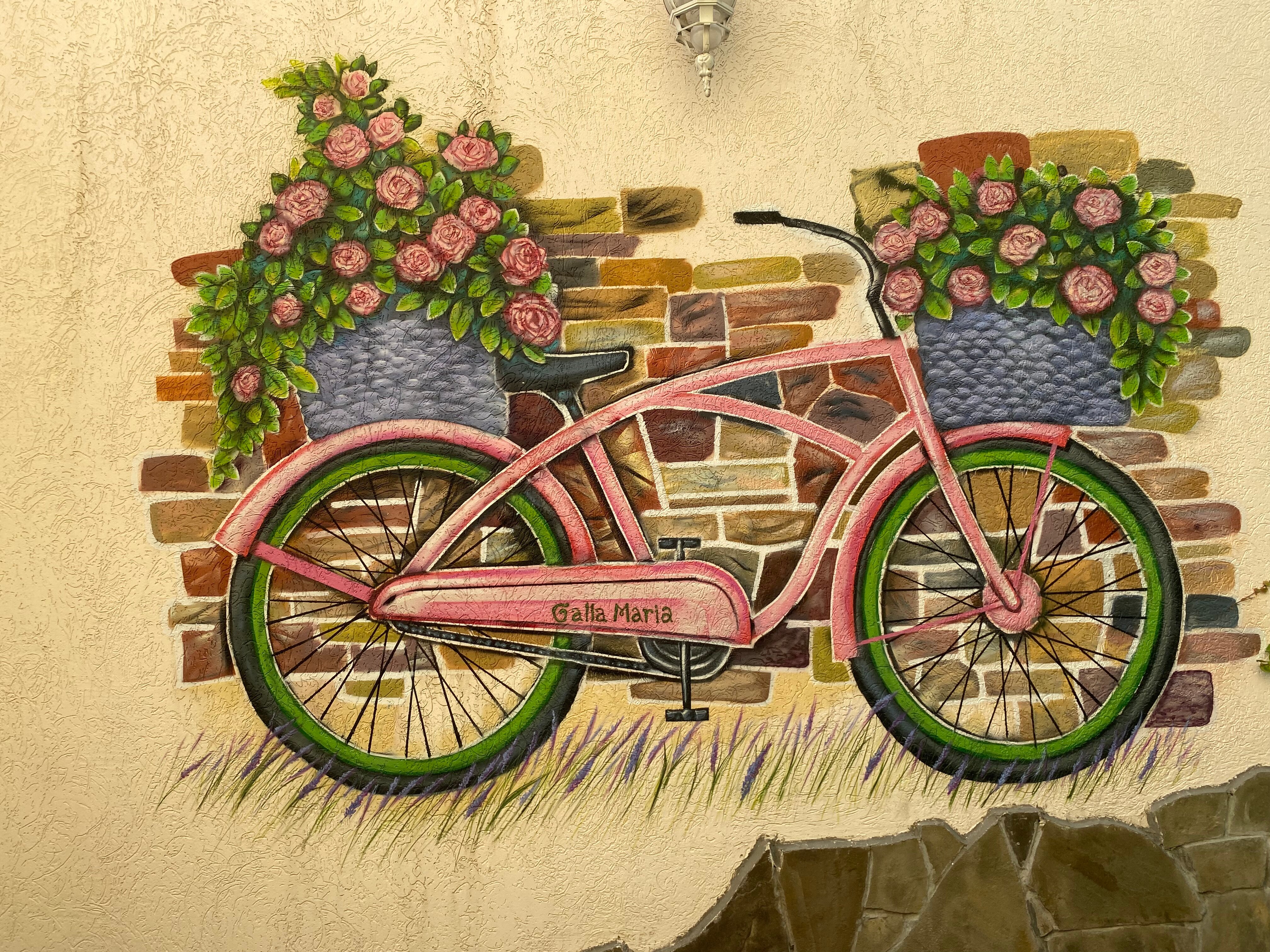 Фото Галла Мария