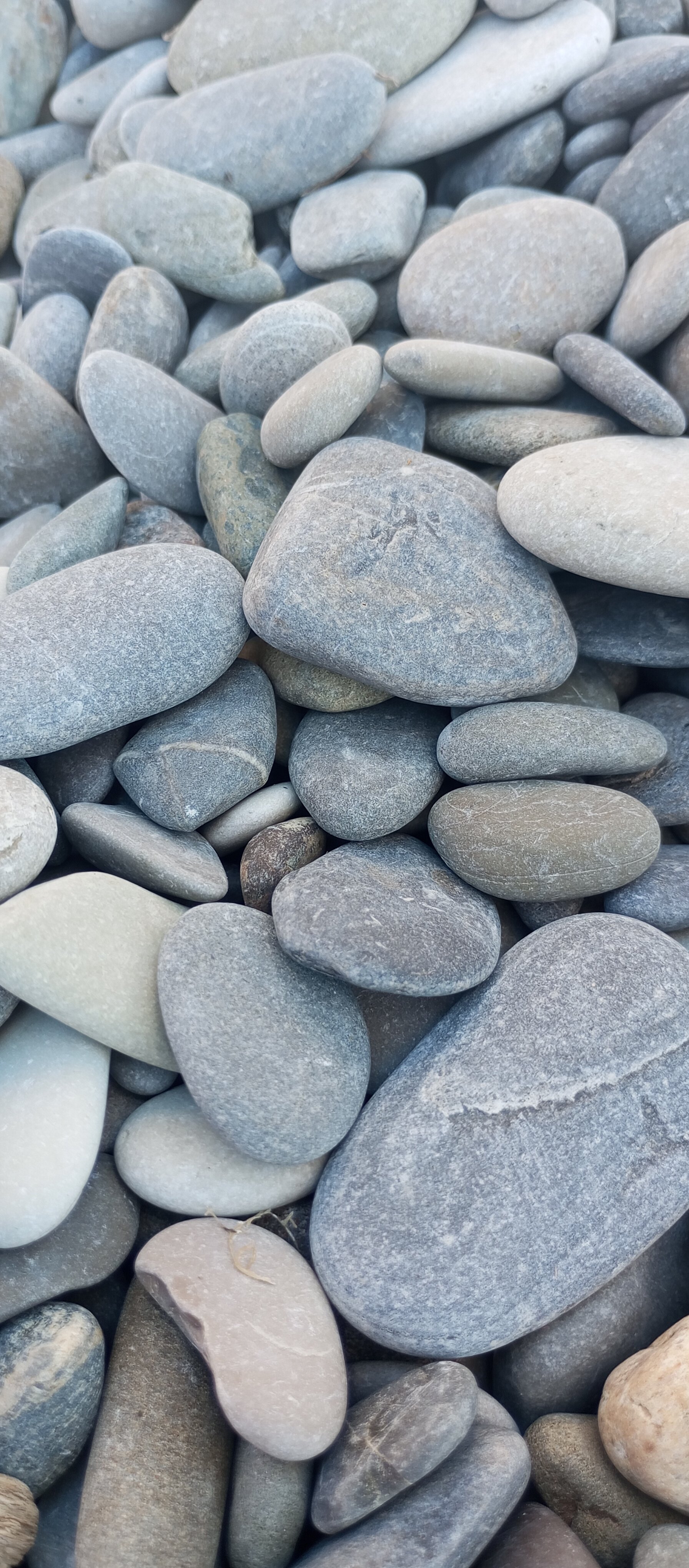 Фото Эллинг 80