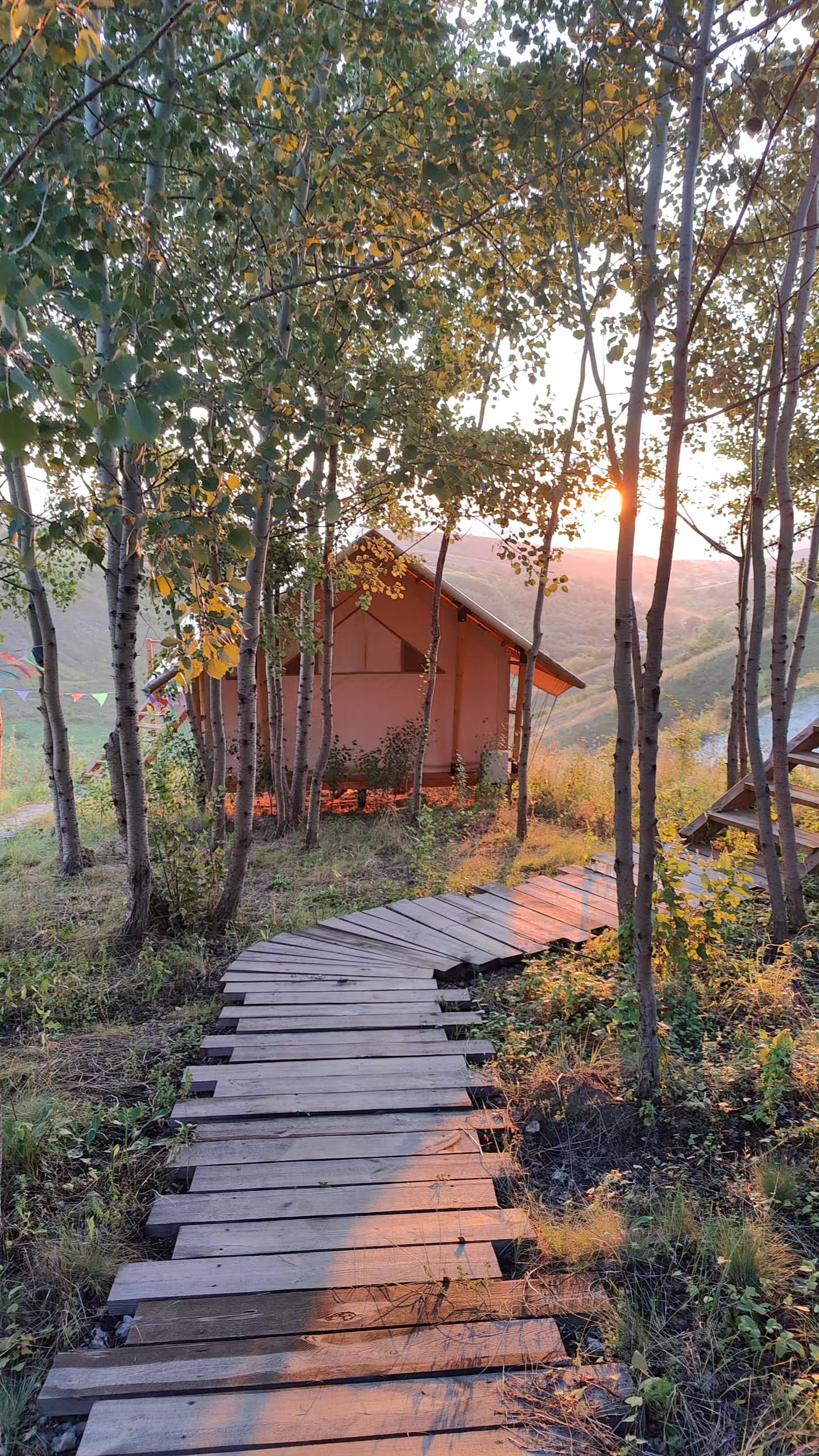 Фото Парк Эволюция Костенки