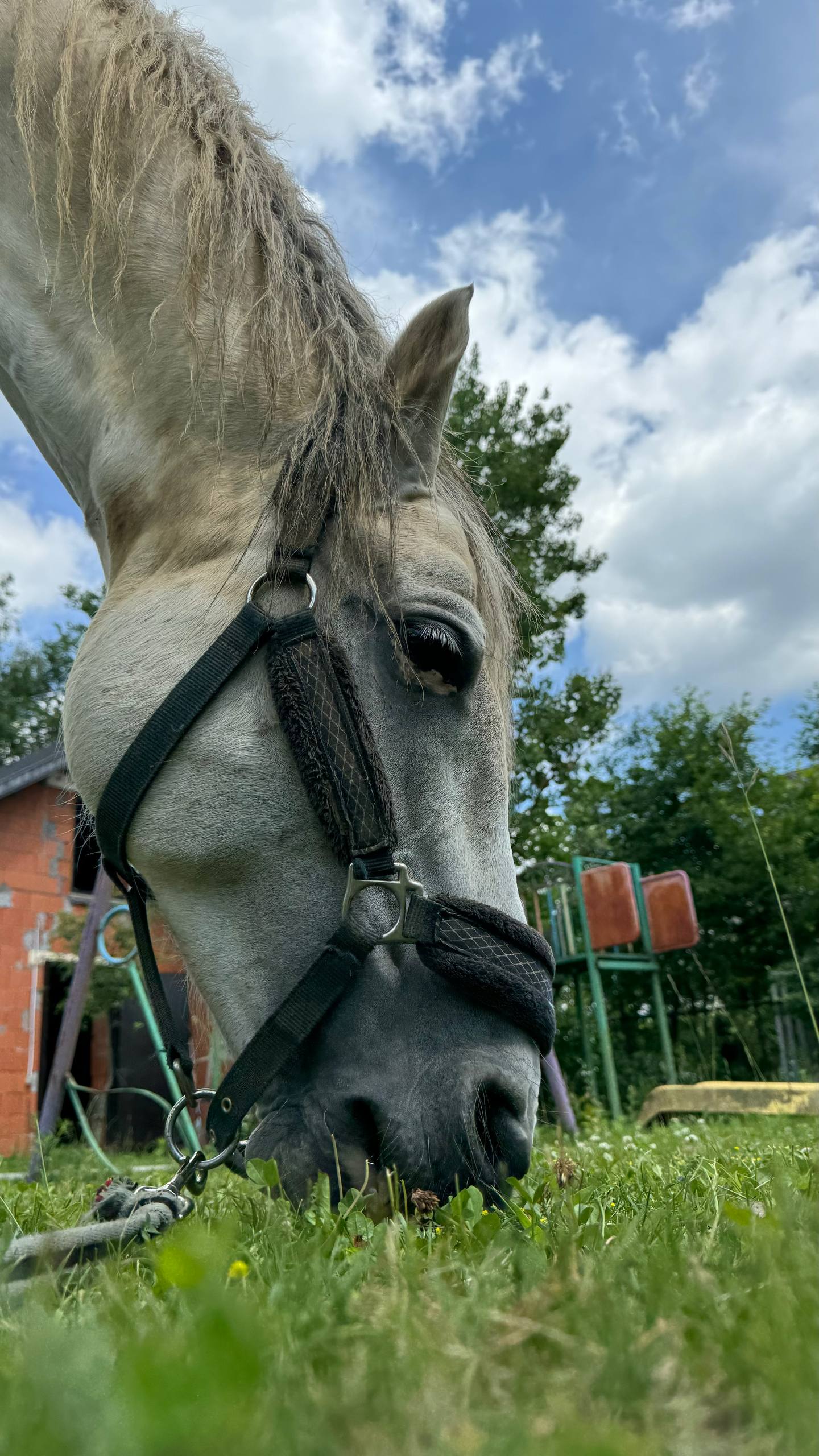 Фото Дом Туриста