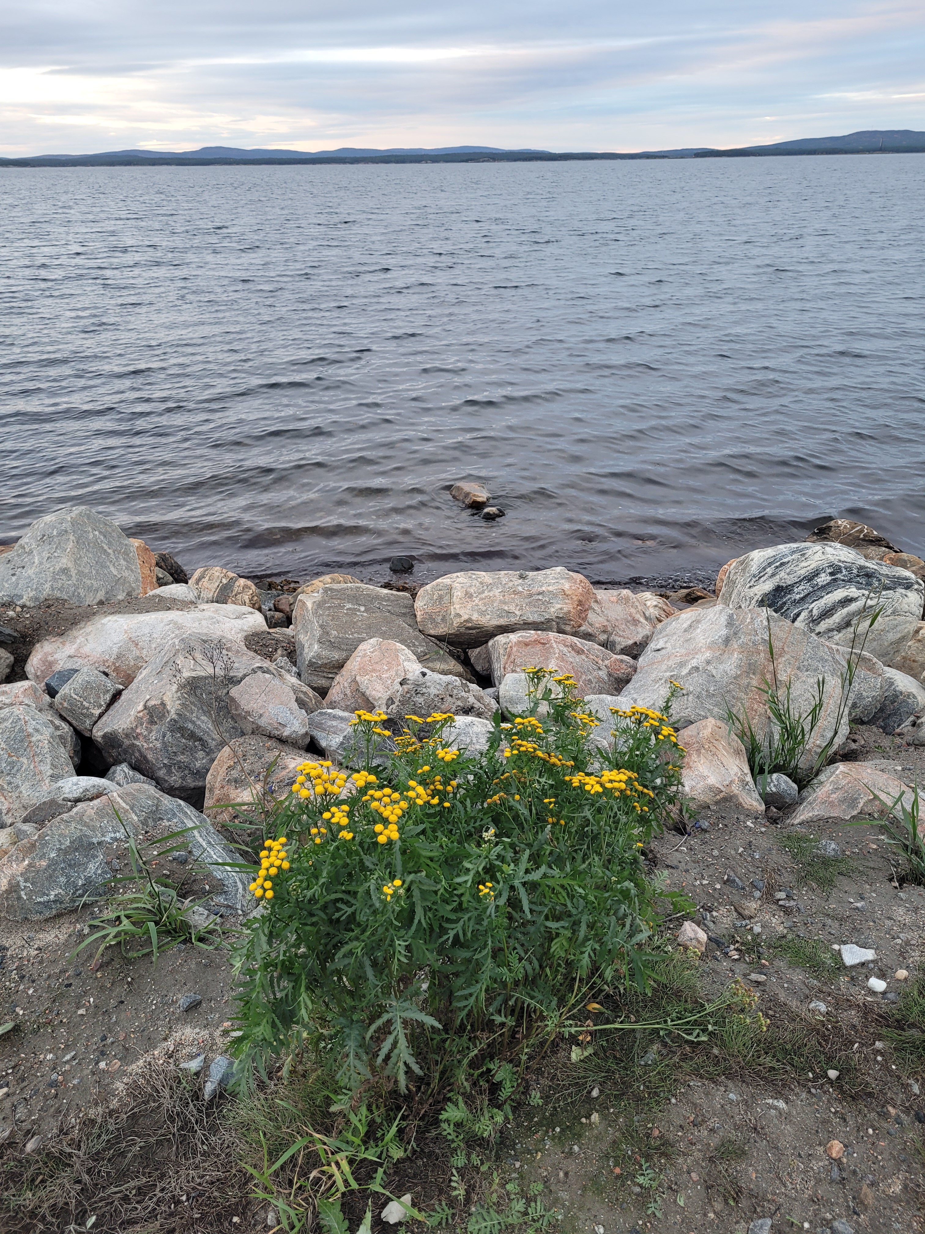 Фото База Отдыха Морская