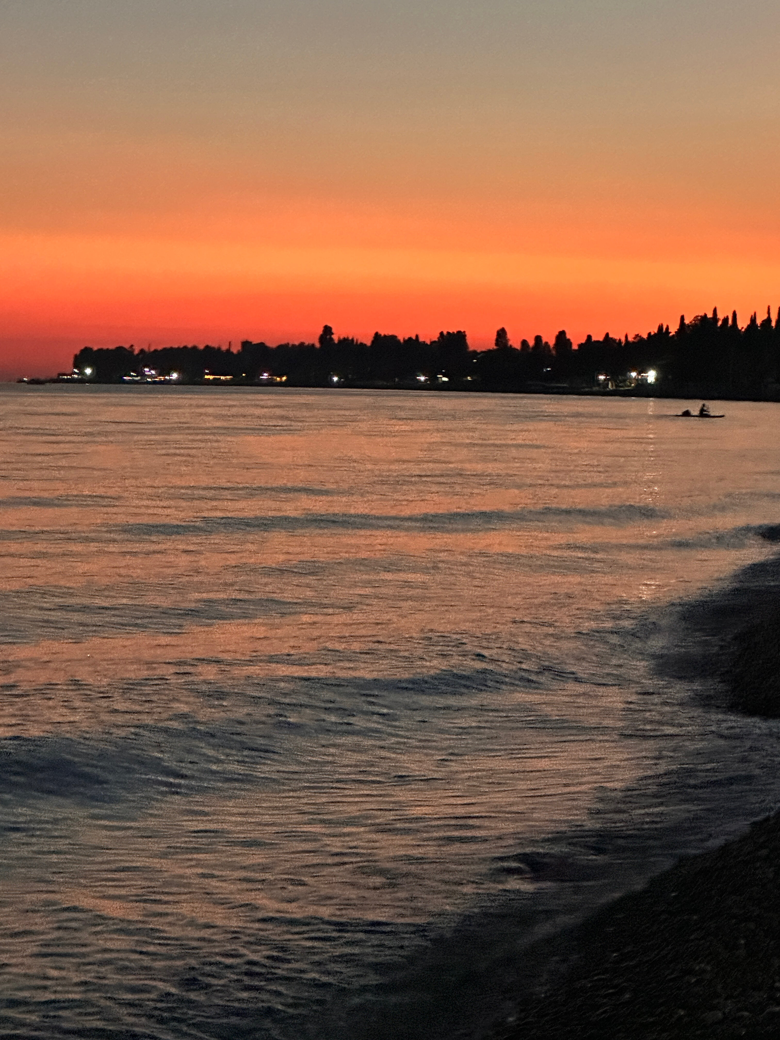 Фото Коралл