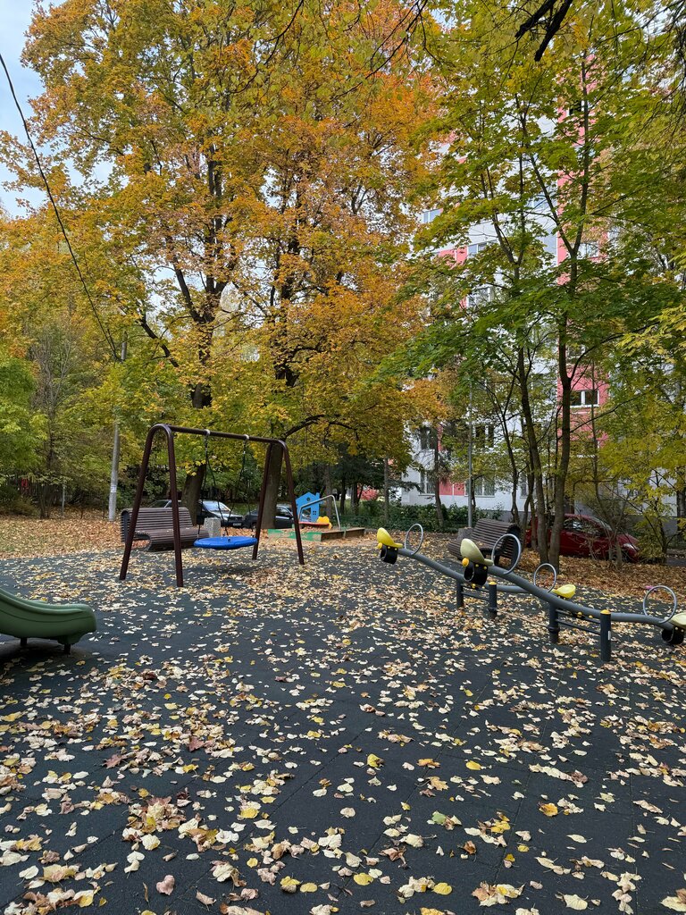 Playground Playground, Zelenograd, photo